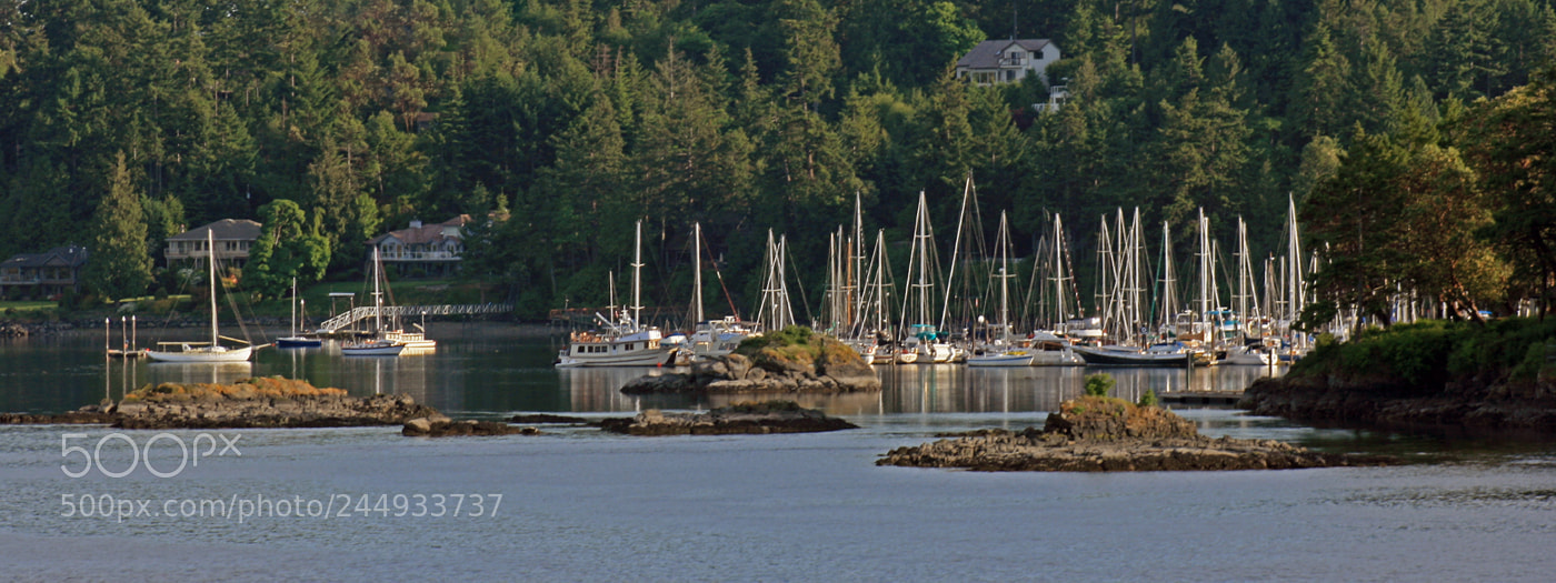 Canon EOS 400D (EOS Digital Rebel XTi / EOS Kiss Digital X) sample photo. A cove vancouver island photography
