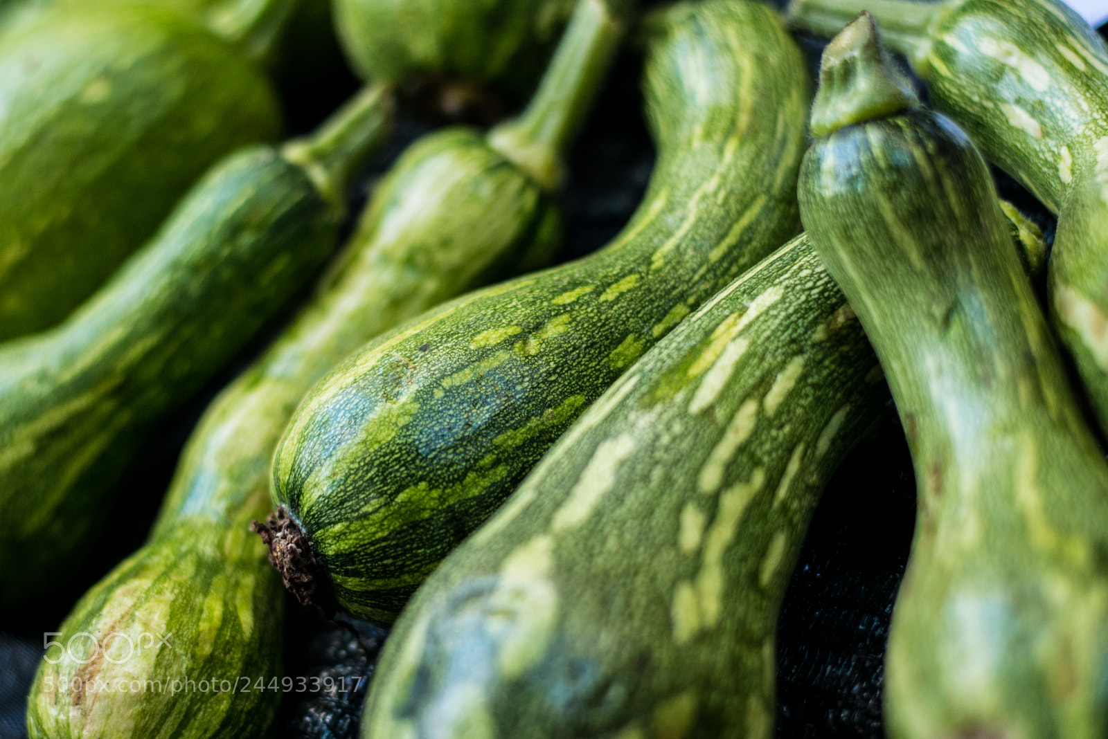Nikon D800 sample photo. Madeira photography