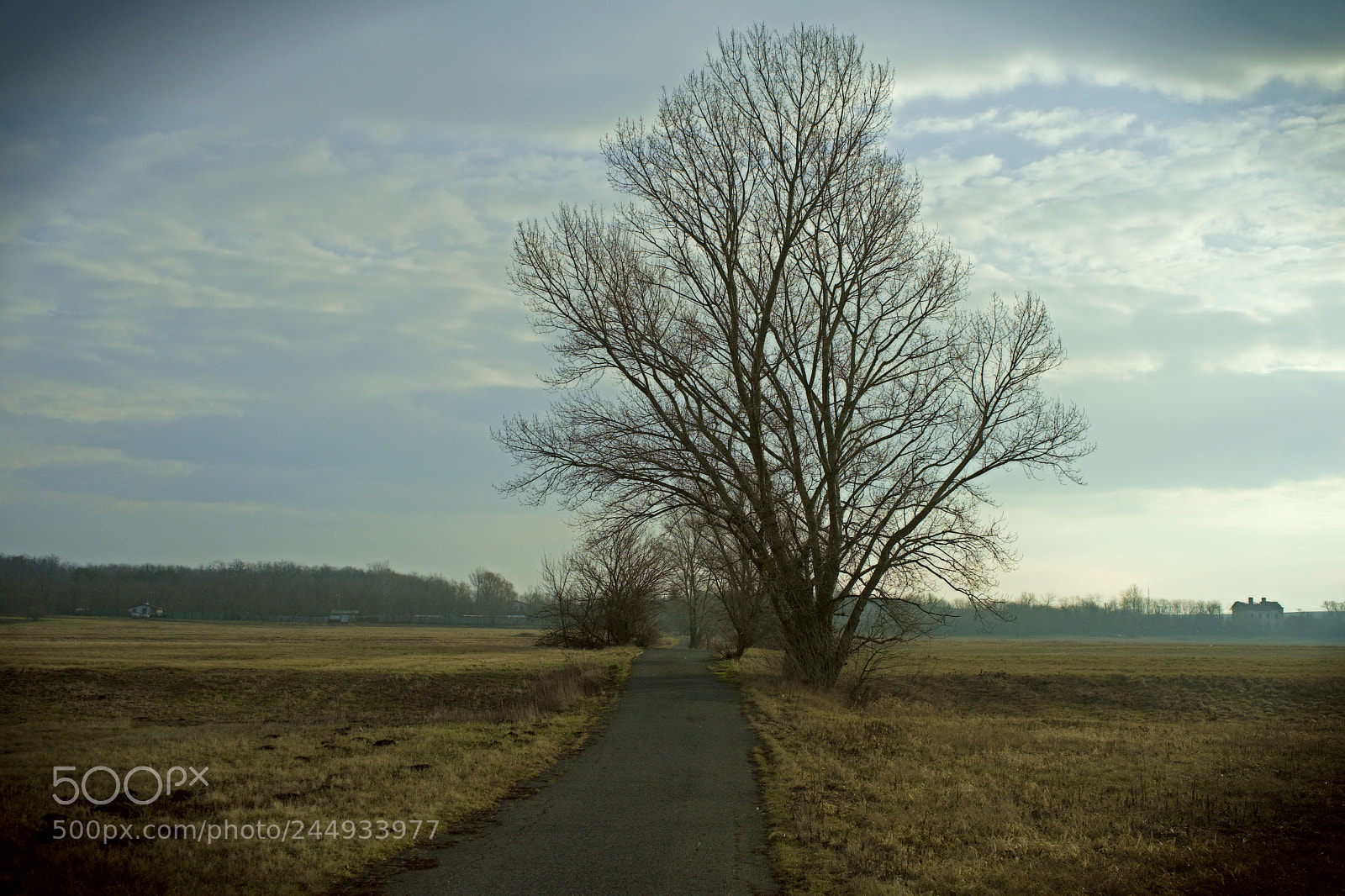 Sony a7 sample photo. Look back photography