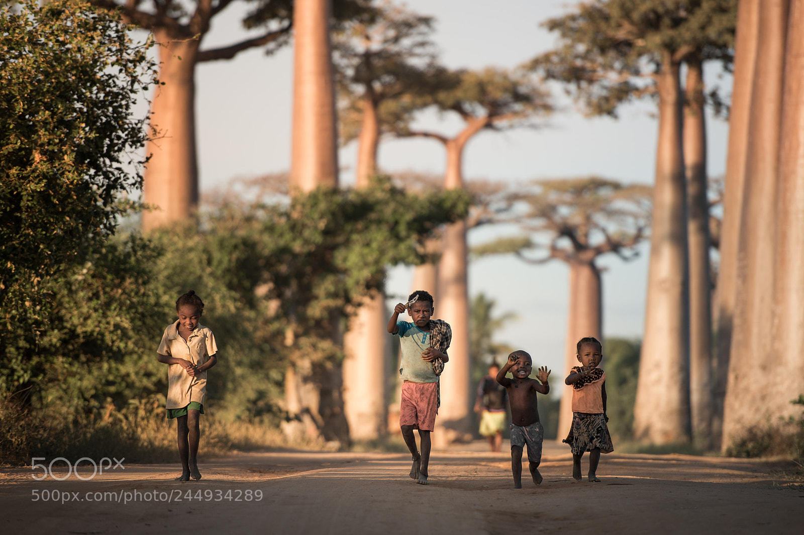 Nikon D4 sample photo. Baobab gang photography