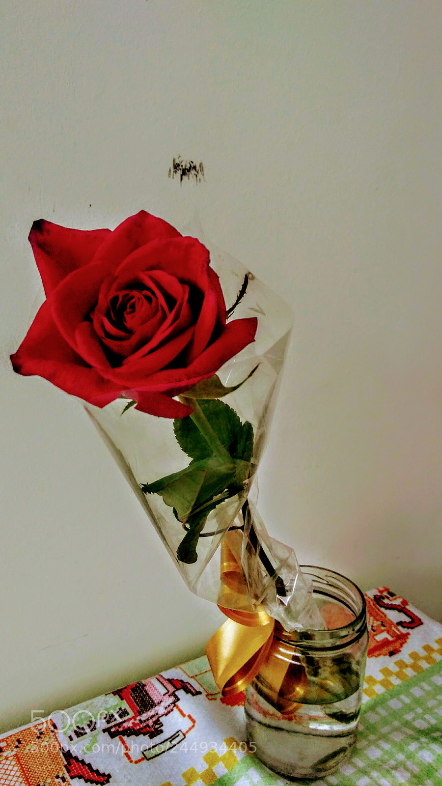Motorola Moto G Play sample photo. Untitled photography
