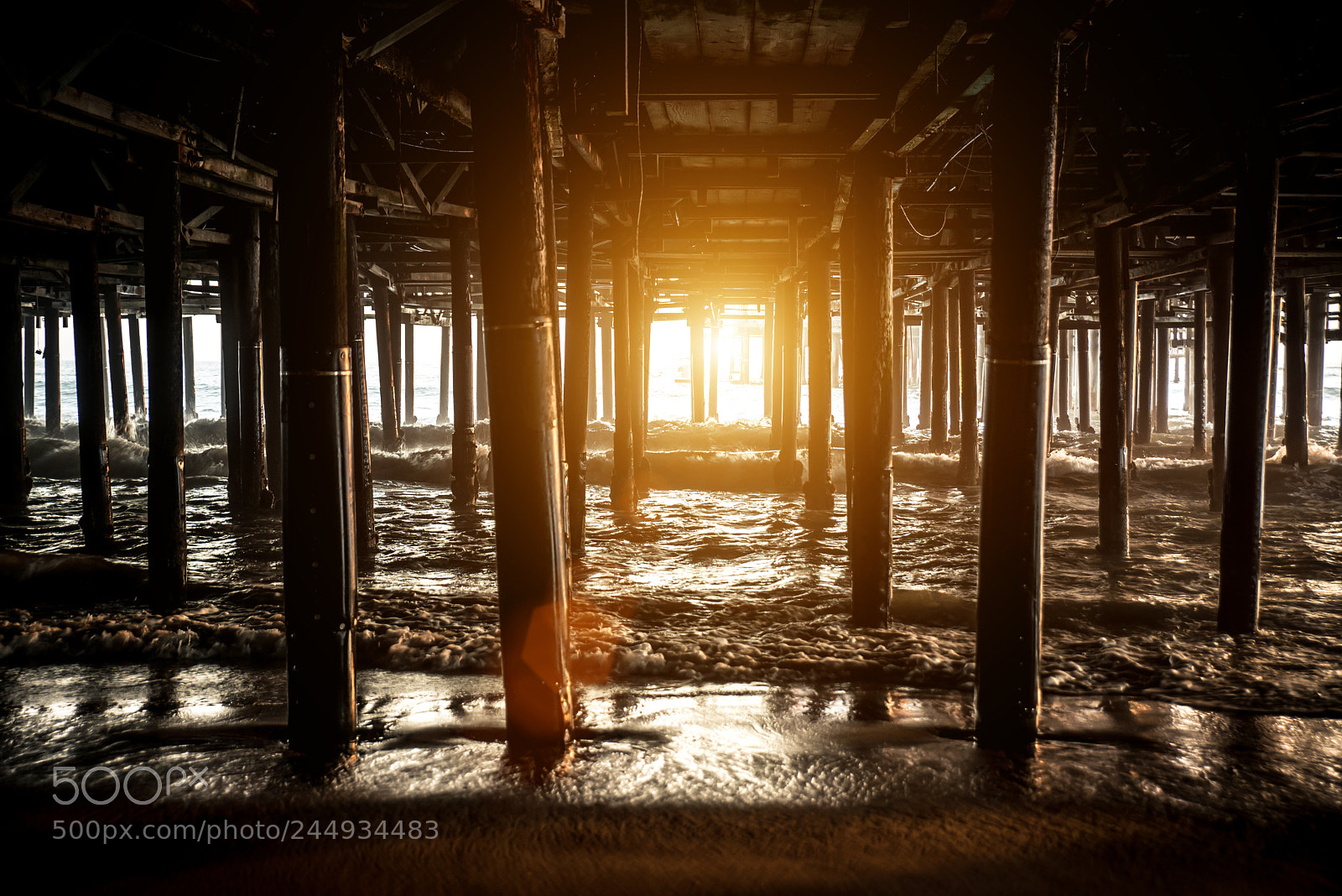 Nikon D610 sample photo. Santa monica pier structure photography