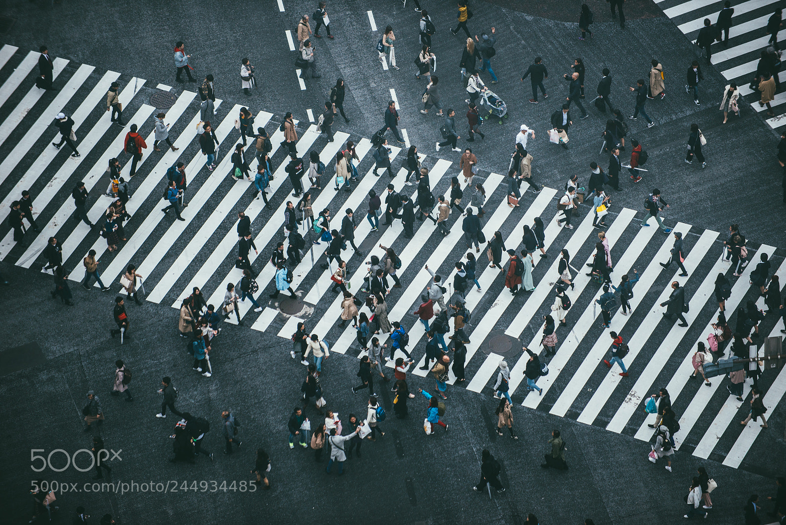 Nikon D610 sample photo. Mass of people crossing photography