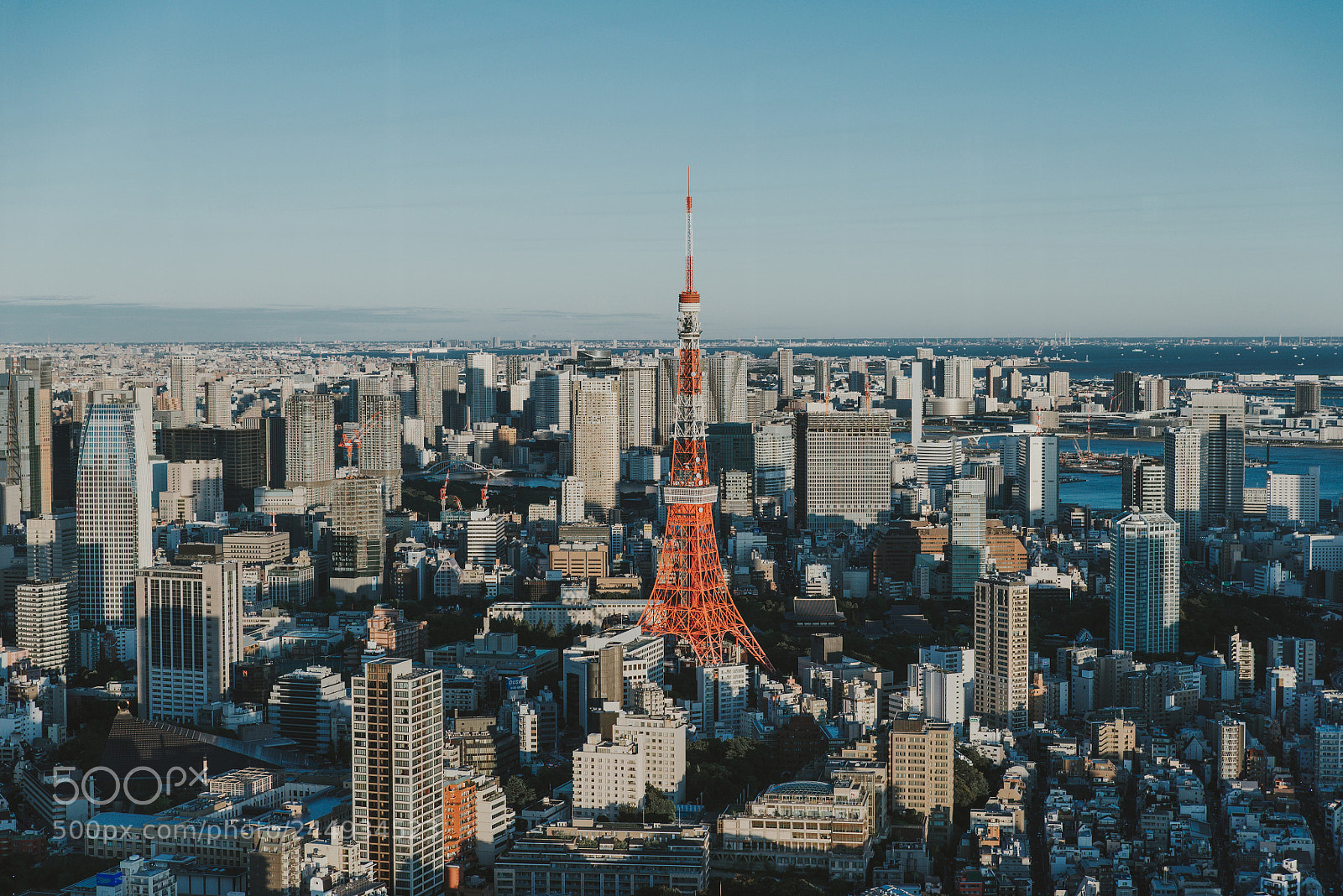 Nikon D610 sample photo. Tokyo skyline and buildings photography