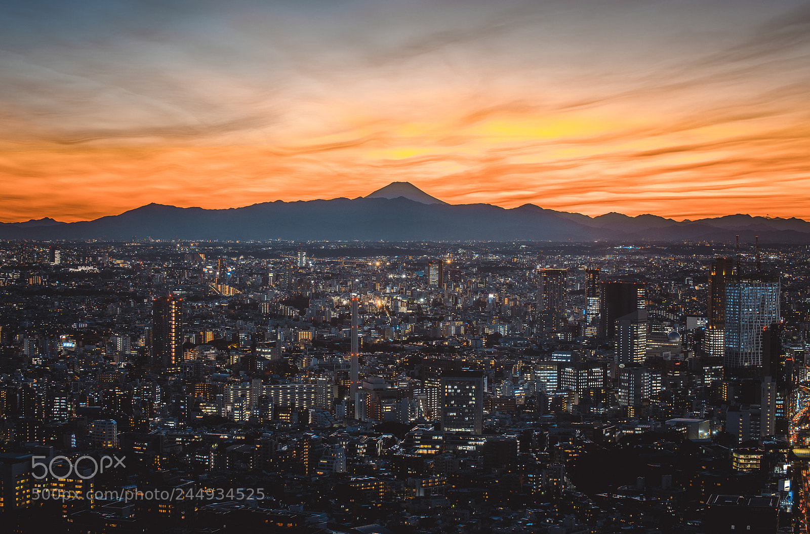 Nikon D610 sample photo. Tokyo skyline and buildings photography
