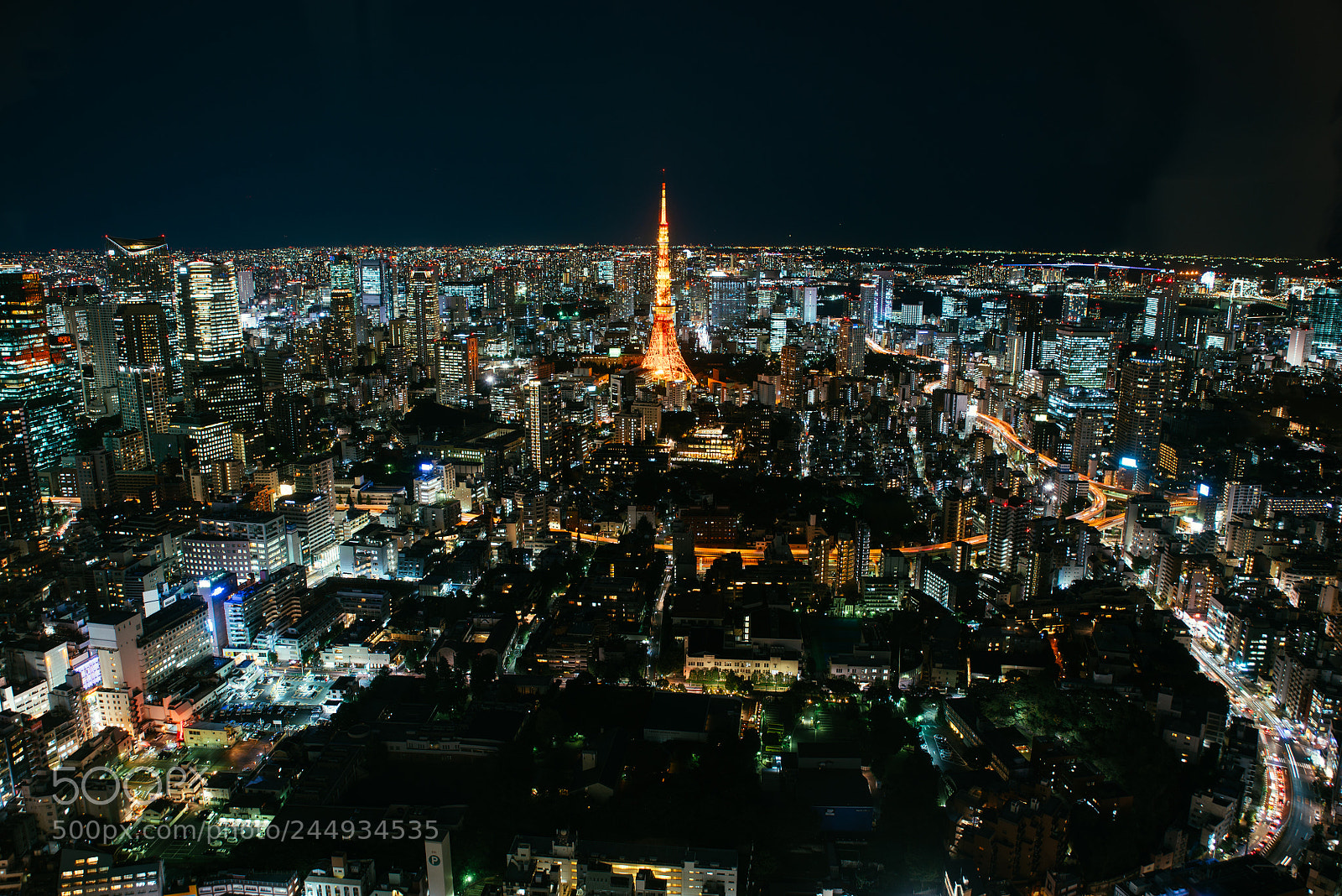 Nikon D610 sample photo. Tokyo skyline and buildings photography