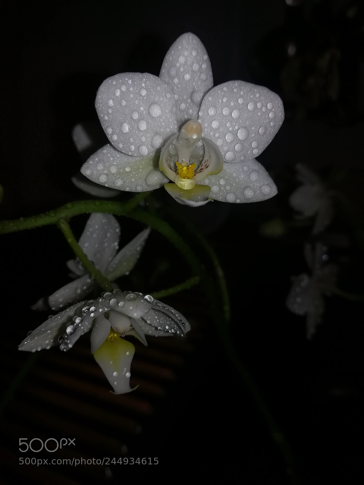 HUAWEI PRA-LX1 sample photo. Untitled photography