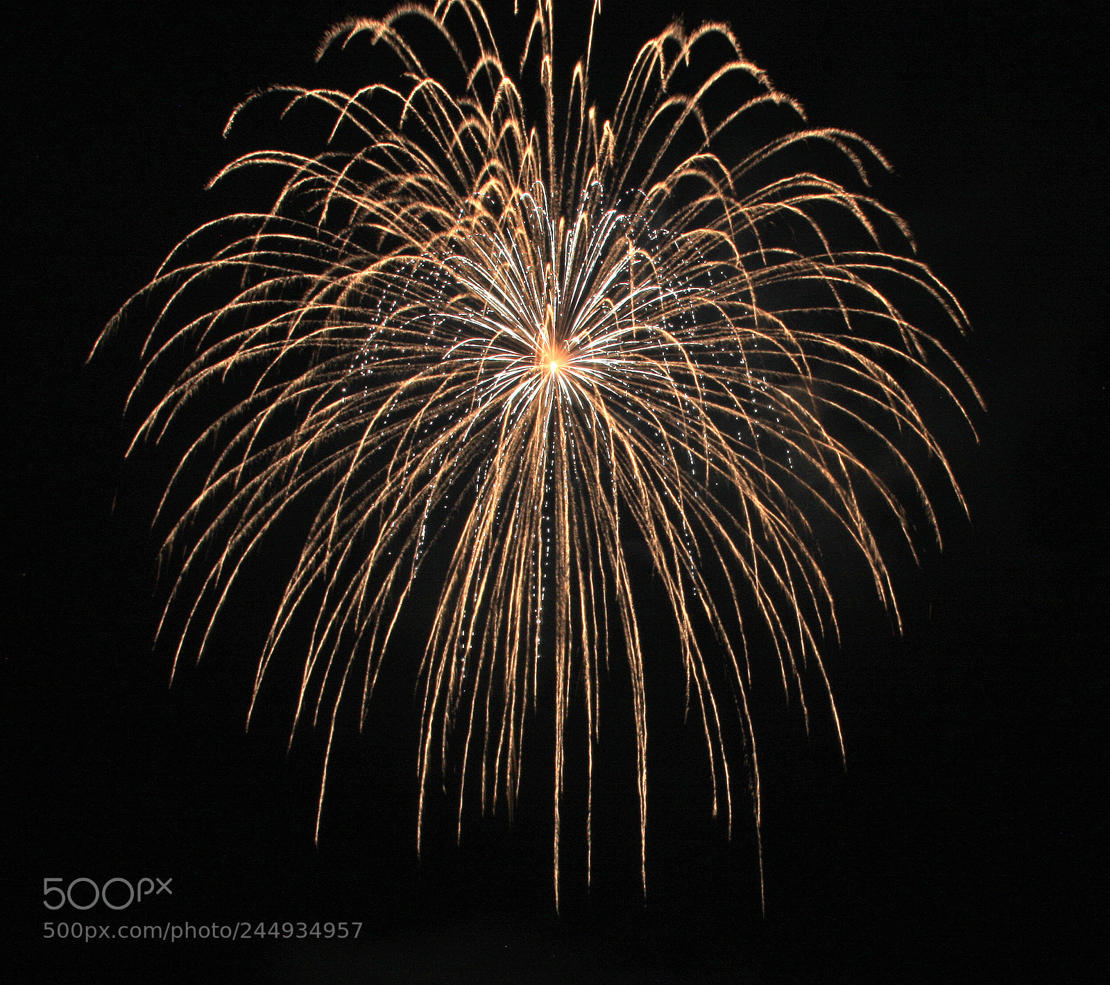 Canon EOS 40D sample photo. Massive firework shell burst photography