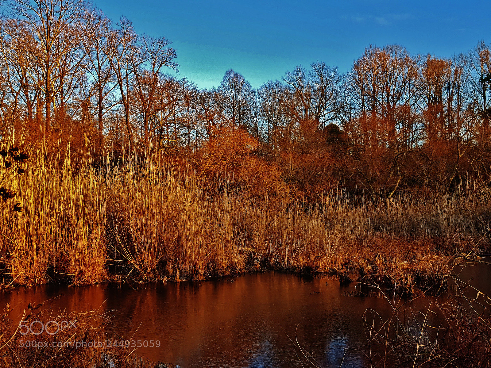 Samsung Galaxy S6 sample photo. Sunset winter marsh scene 2018 photography