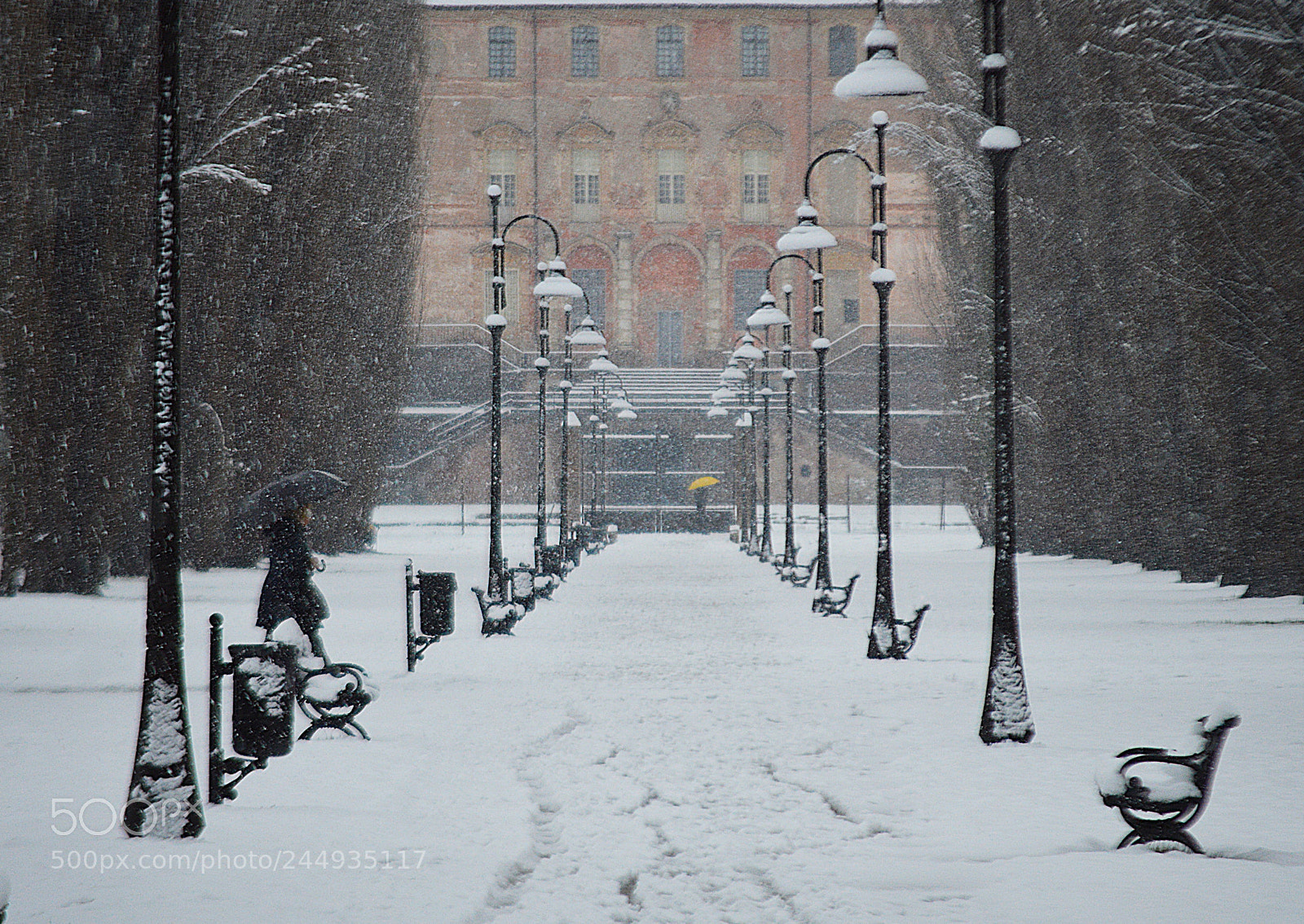 Nikon D3200 sample photo. Umbrella photography