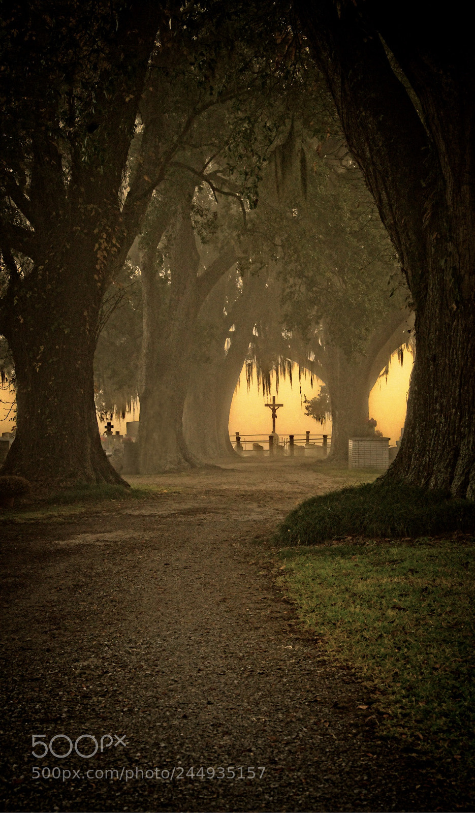 Sony a7R III sample photo. Historic sunrise glow photography