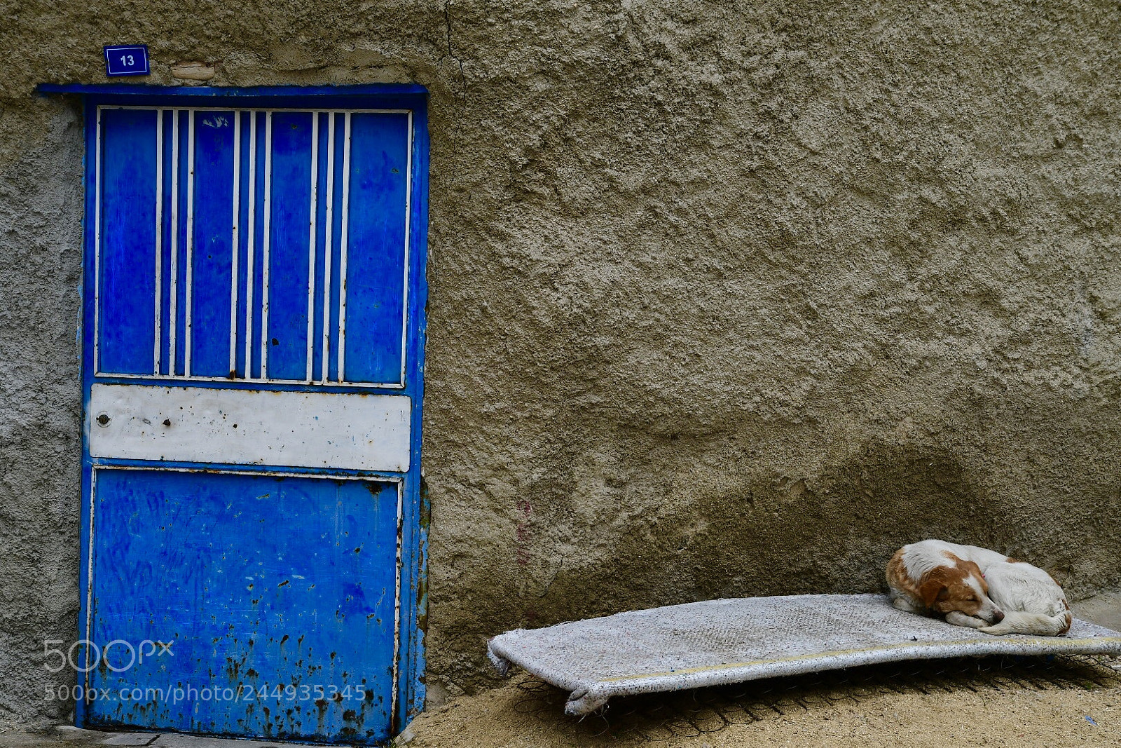 Nikon D7500 sample photo. Untitled photography