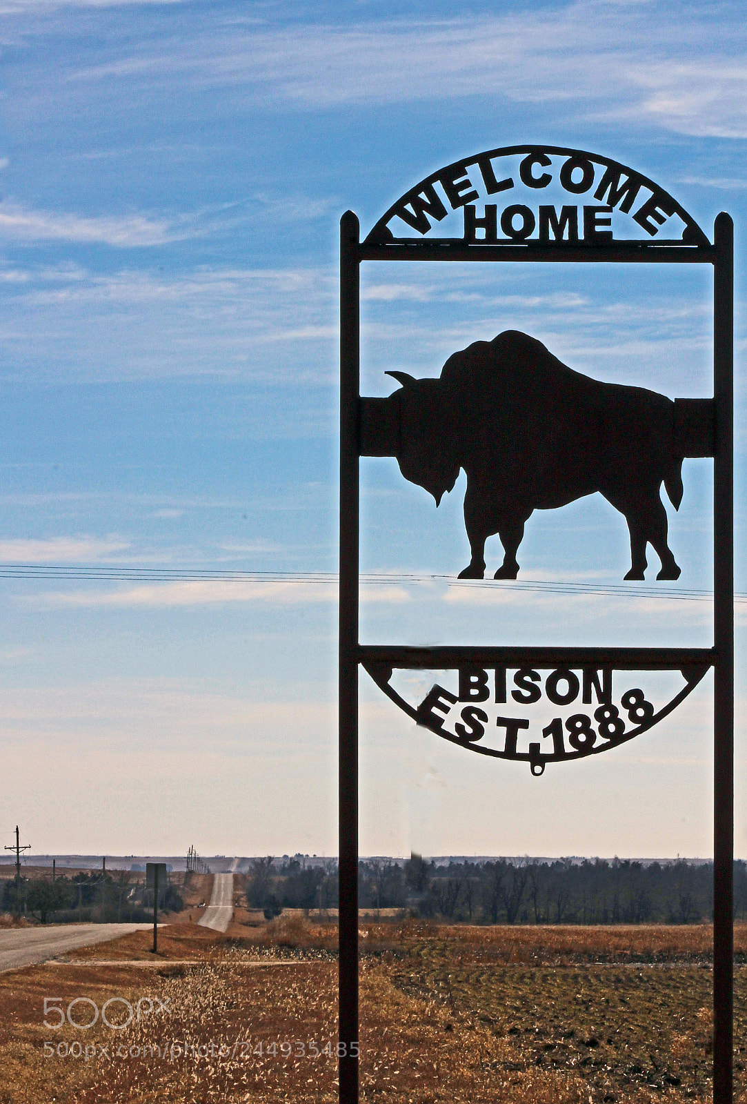 Canon EOS 1200D (EOS Rebel T5 / EOS Kiss X70 / EOS Hi) sample photo. Welcome home - bison photography