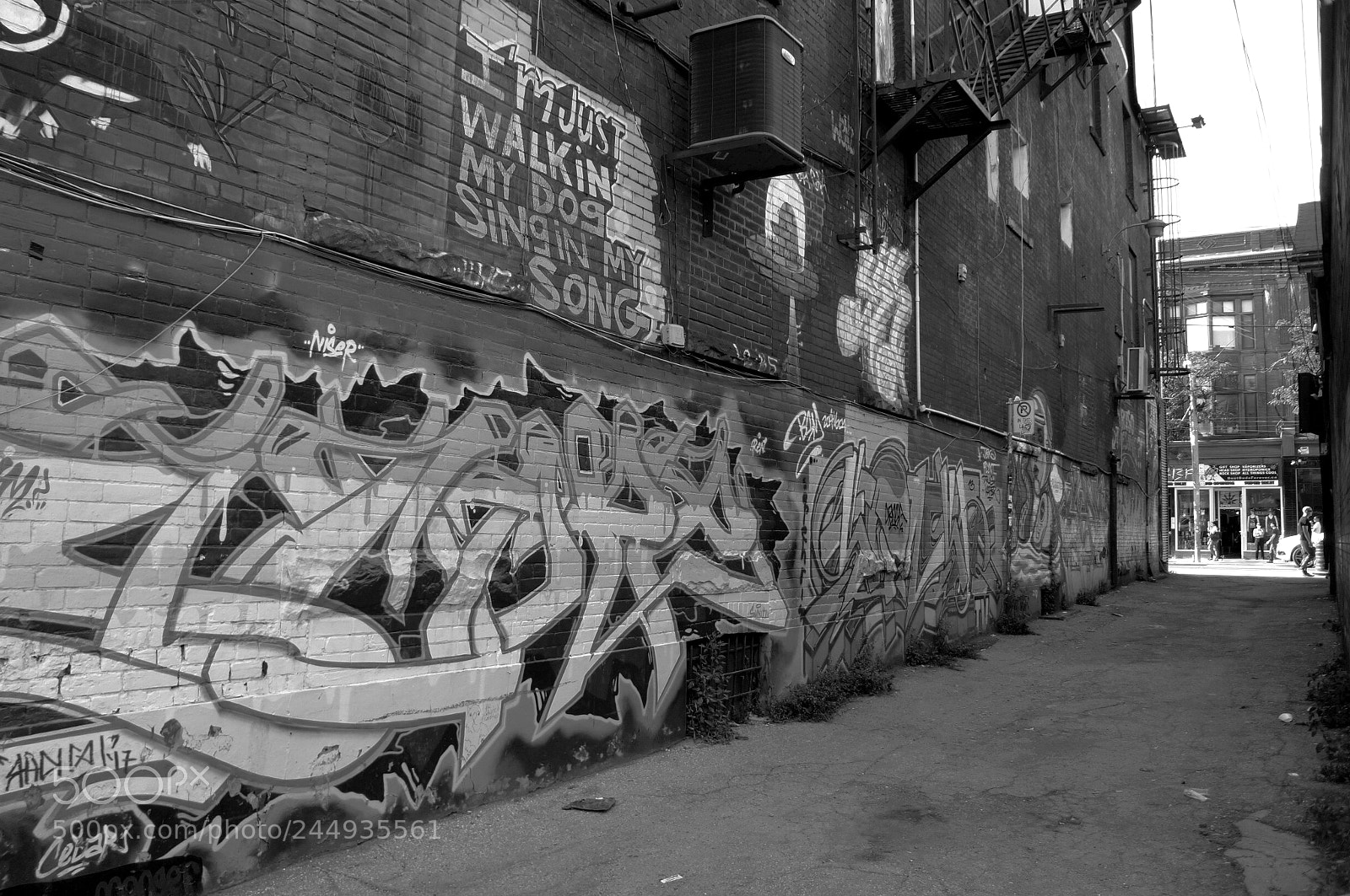 Sony Alpha NEX-5N sample photo. Graffiti alley photography