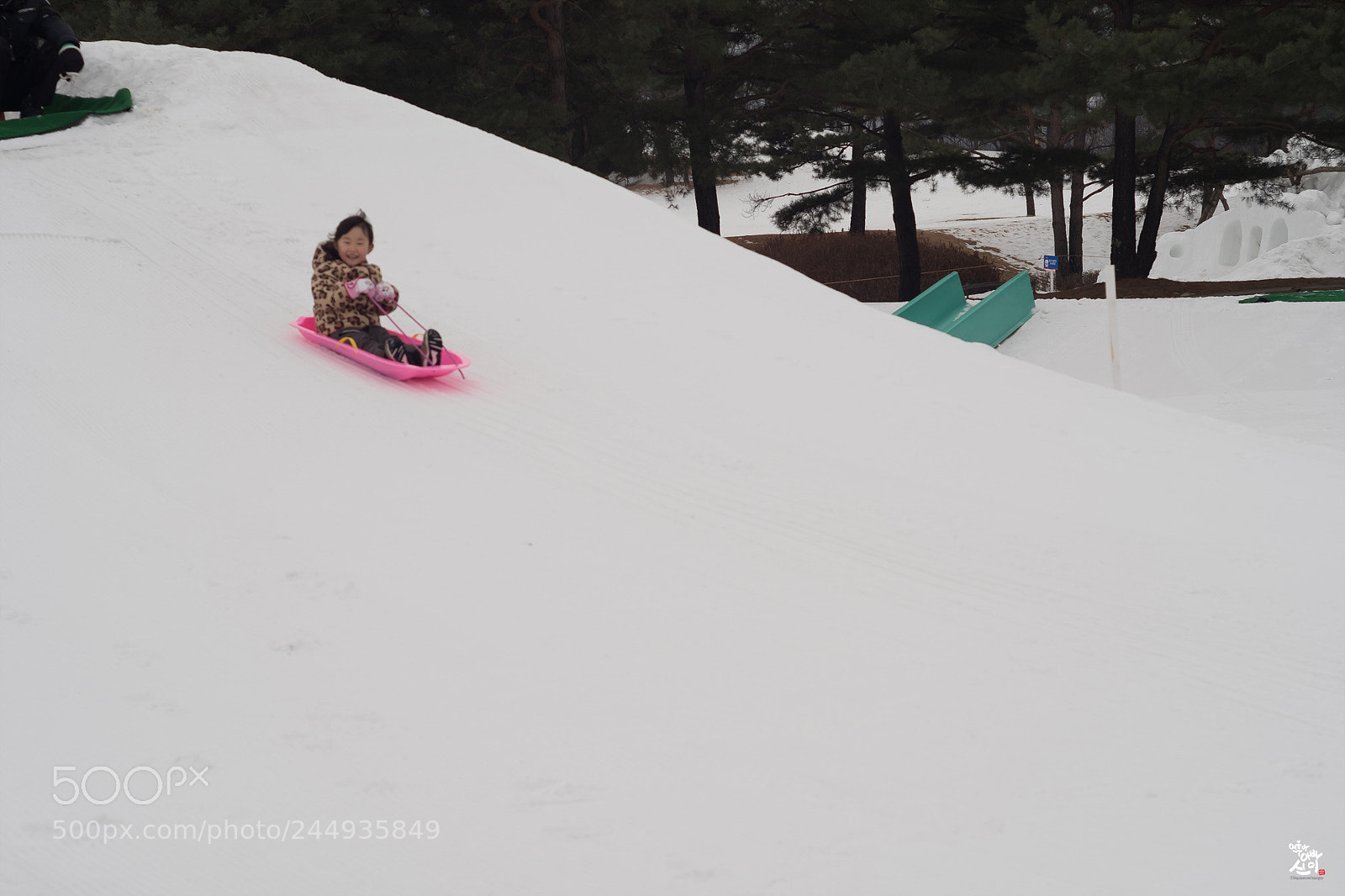 Fujifilm X-T2 sample photo. Snow sleigh photography