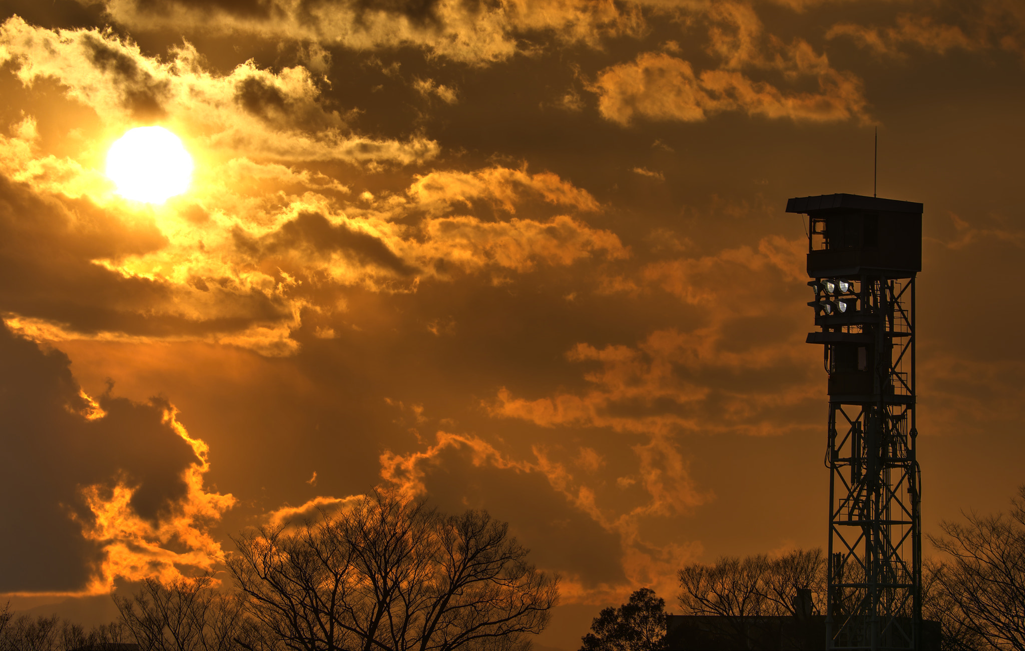 Sigma 150-600mm F5-6.3 DG OS HSM | C sample photo. Sunset photography