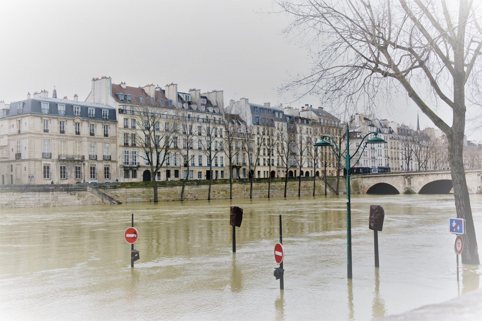 Nikon D7100 sample photo. Floods in paris photography