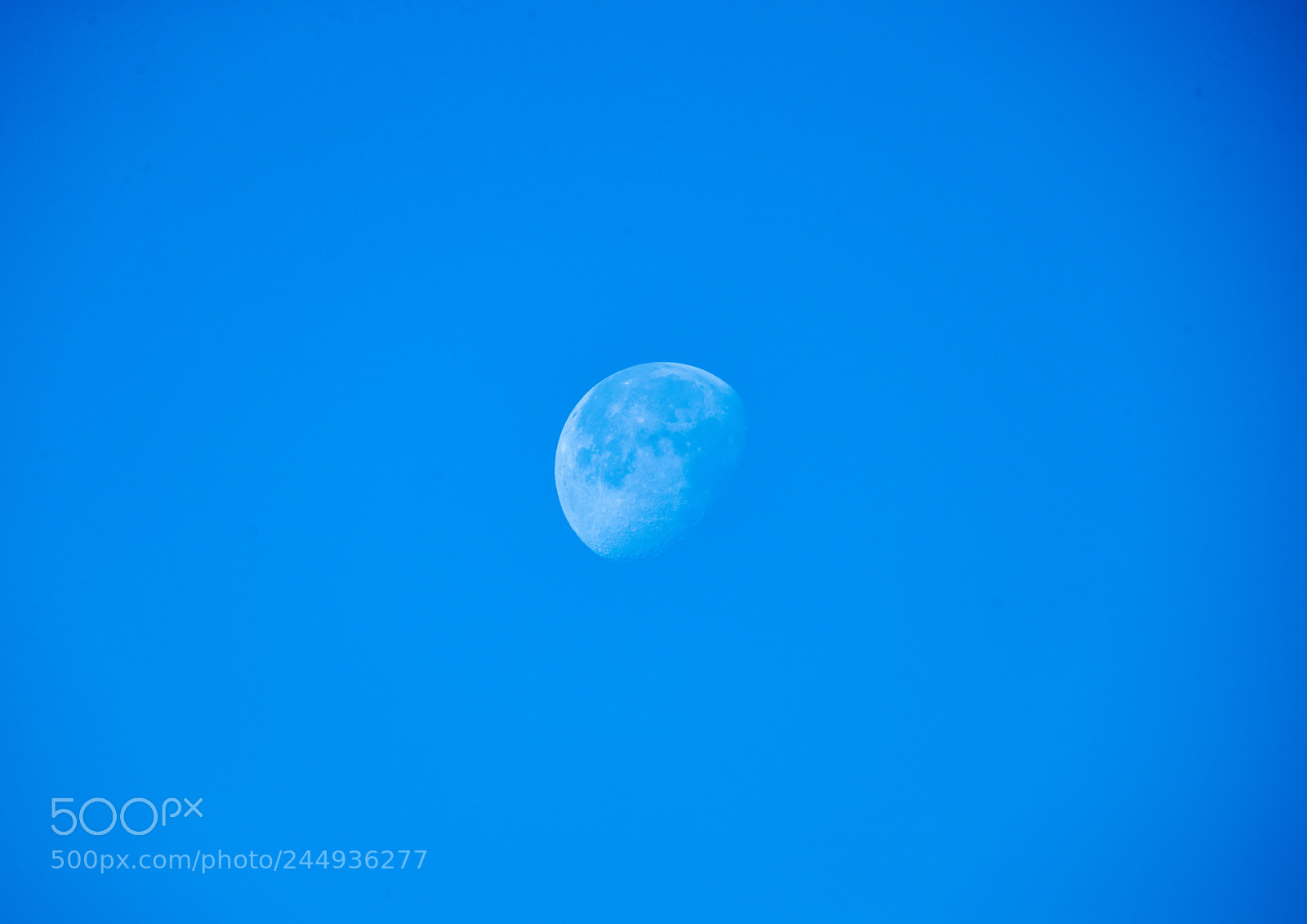 Canon EOS-1D X Mark II sample photo. 02-04-18-0002048.jpg photography
