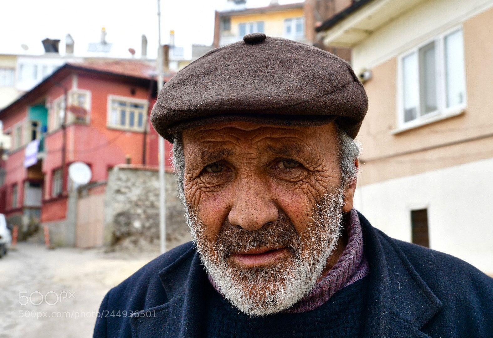 Nikon D7500 sample photo. Untitled photography