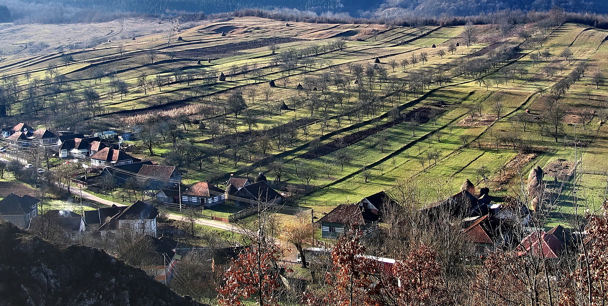 Canon POWERSHOT G5 sample photo. Rural geometry. photography