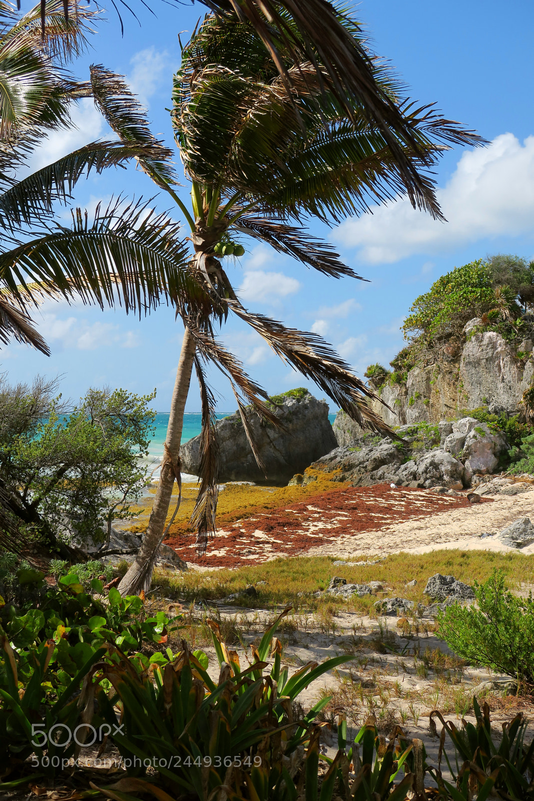 Canon PowerShot G3 X sample photo. Lonesome paradise photography
