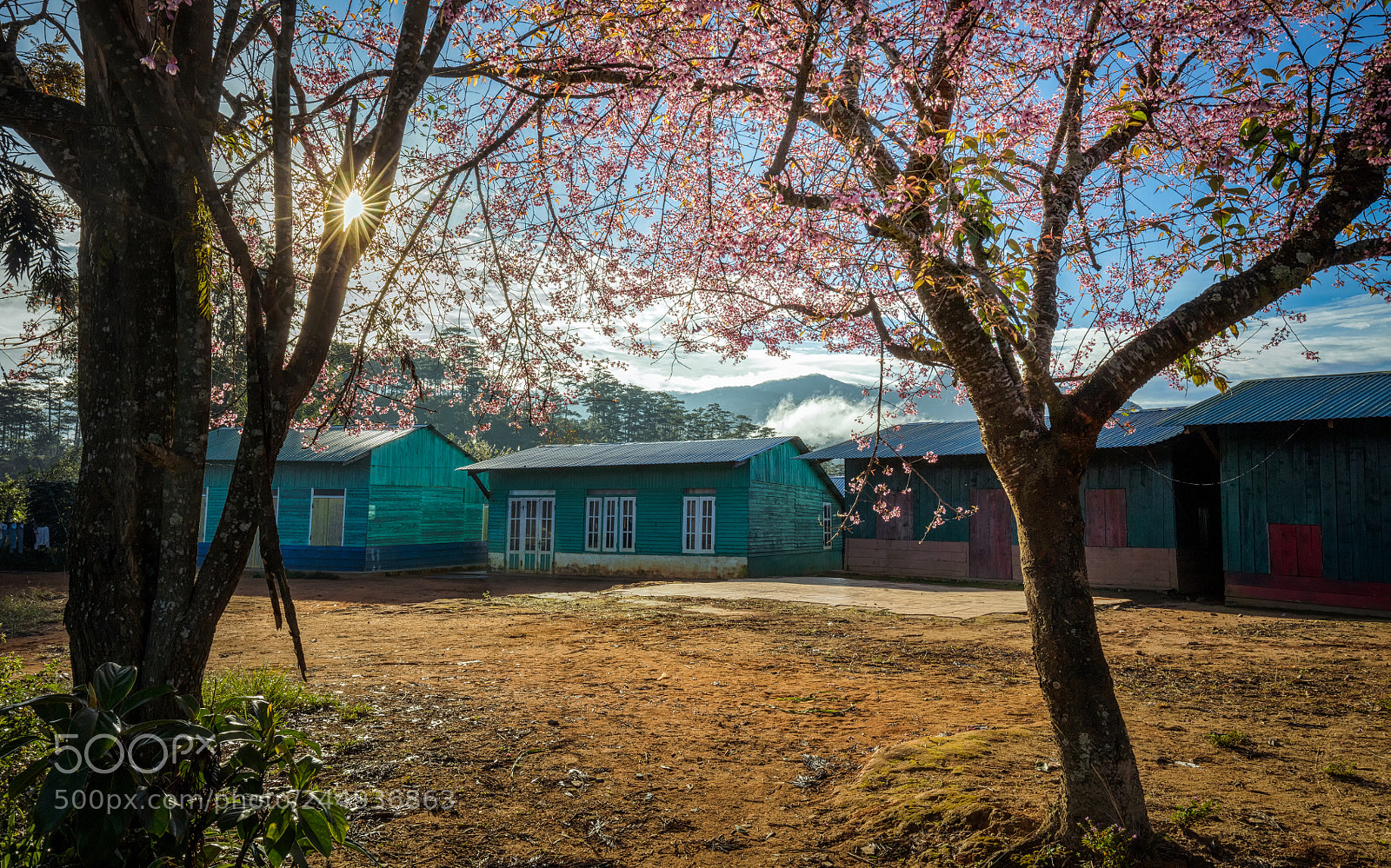 Canon EOS 5DS R sample photo. House pring.... photography