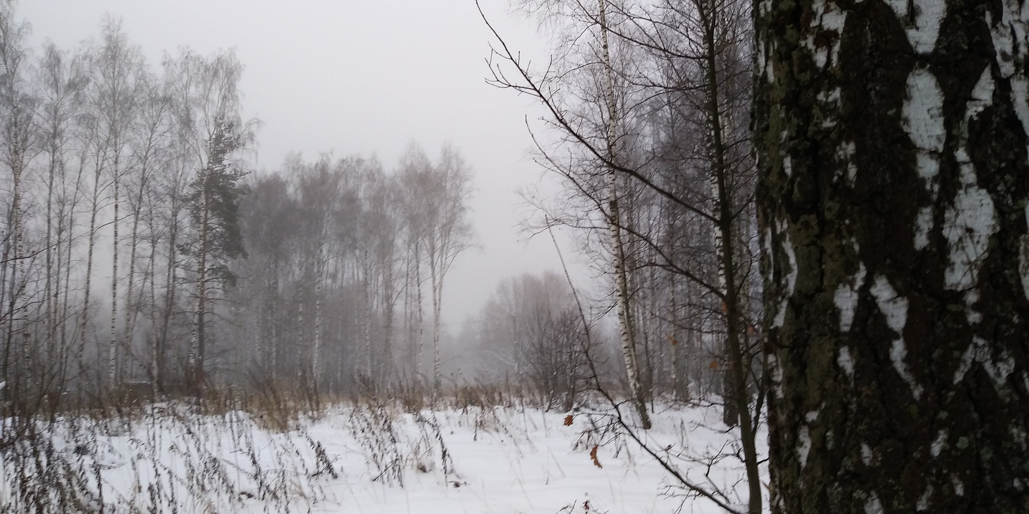 LG Q6 sample photo. Snow photography