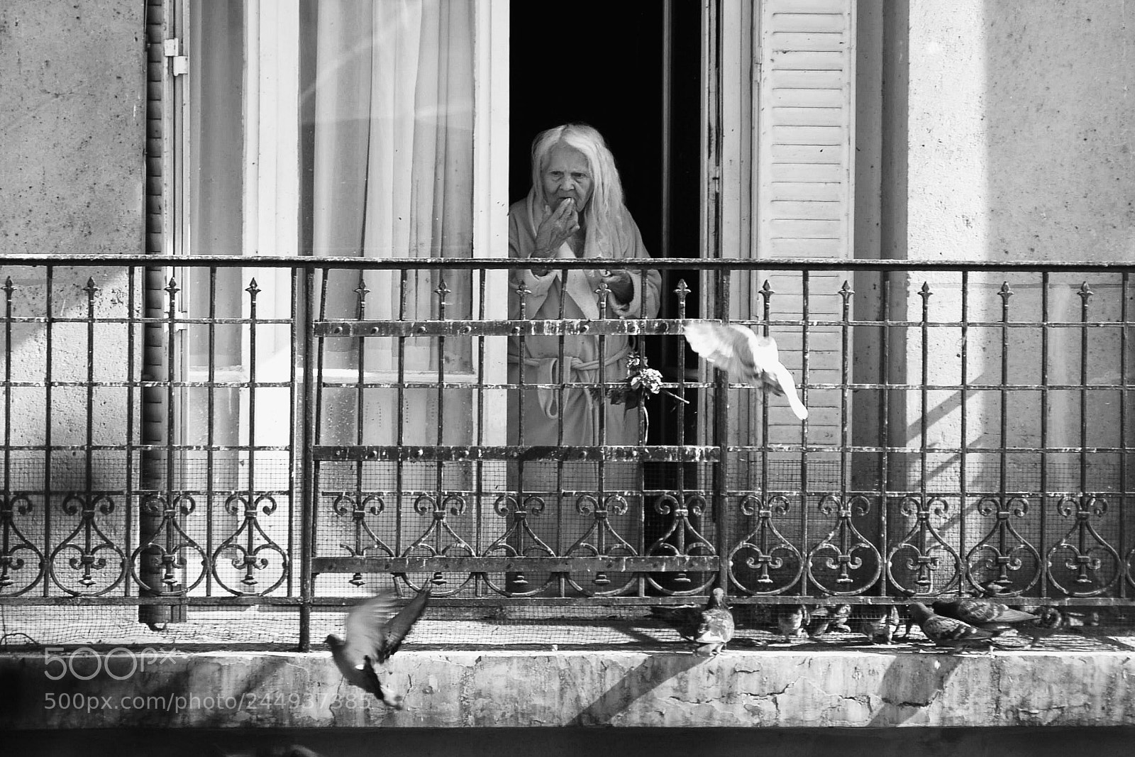 Nikon D200 sample photo. Old queen photography