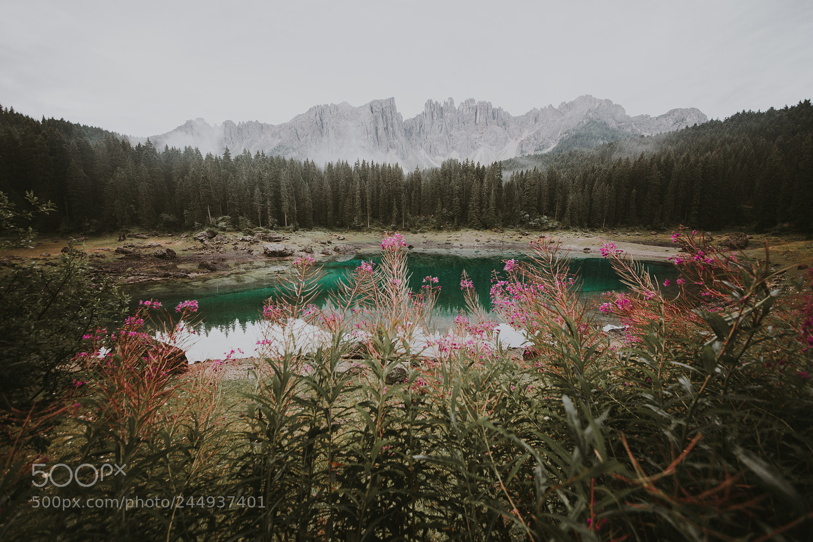 Nikon D610 sample photo. Beautiful landscape shot on photography
