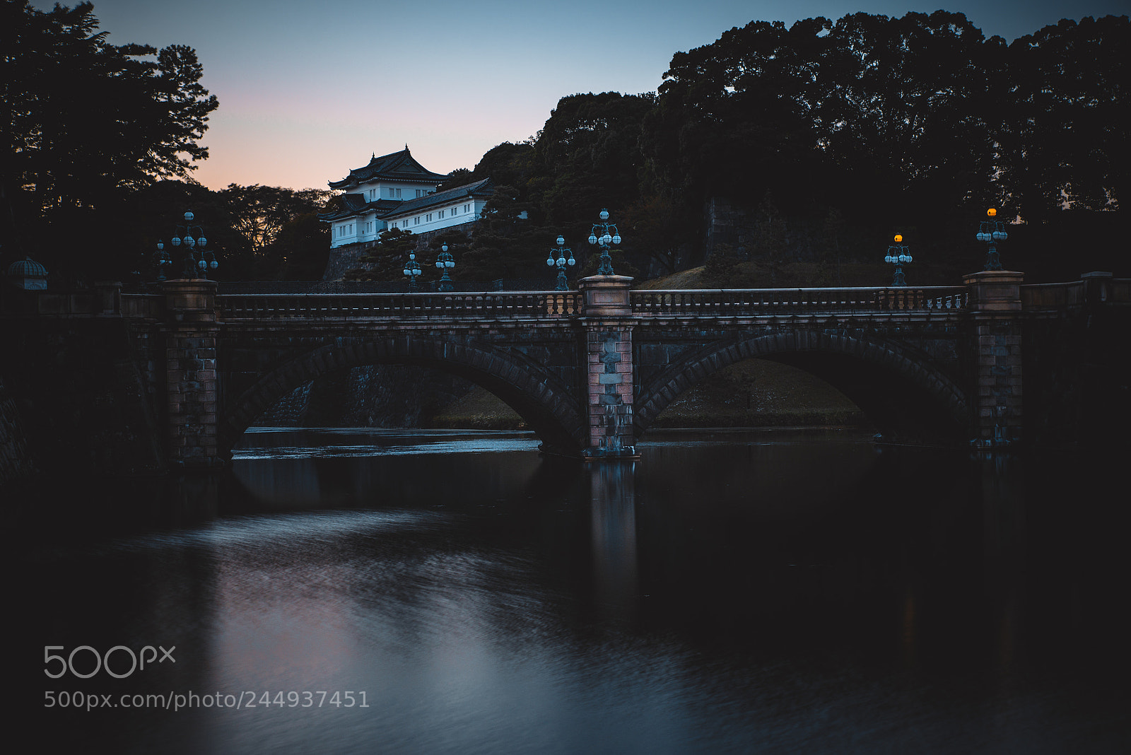 Nikon D610 sample photo. Edo castle imperial palace photography