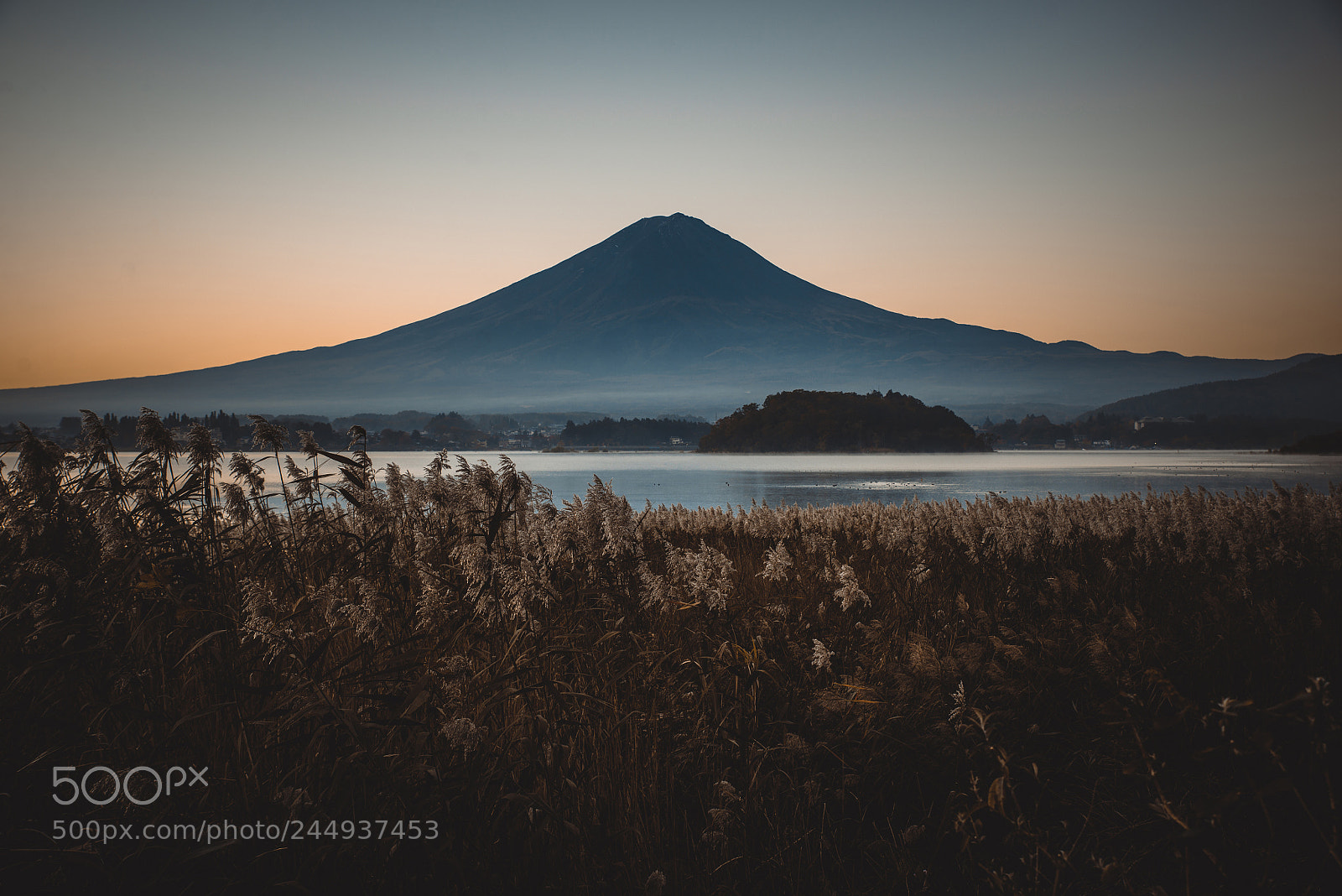Nikon D610 sample photo. Fuji mountain view. the photography