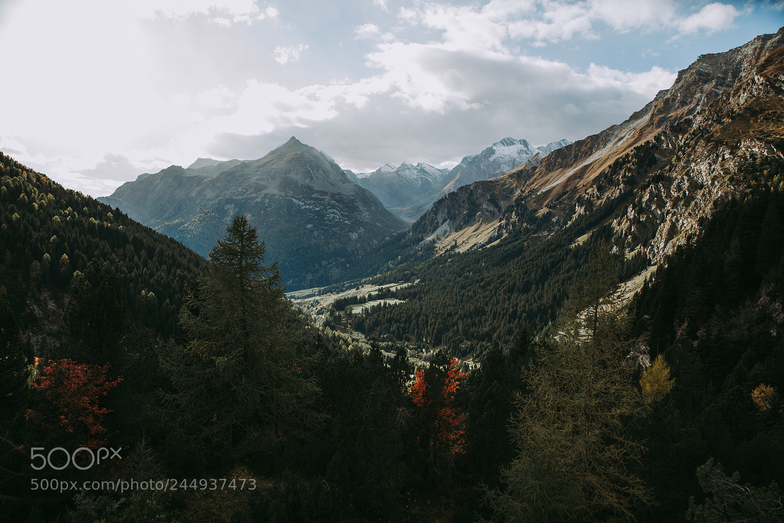 Nikon D610 sample photo. Switzerland mountains and nature photography