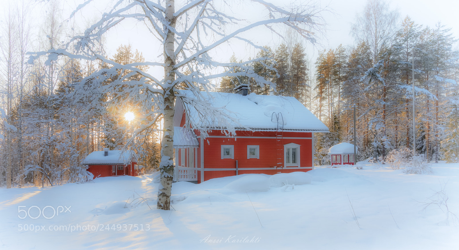 Nikon D600 sample photo. Red cabin in new photography