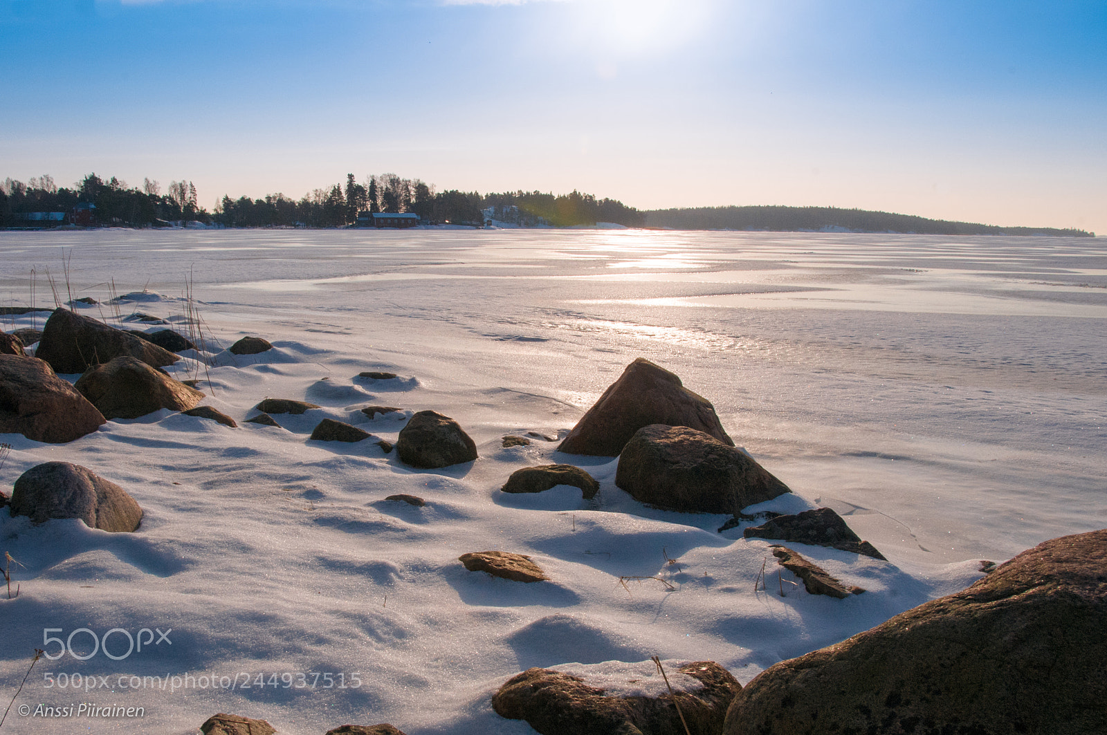 Nikon D300S sample photo. Sunny but freezing photography
