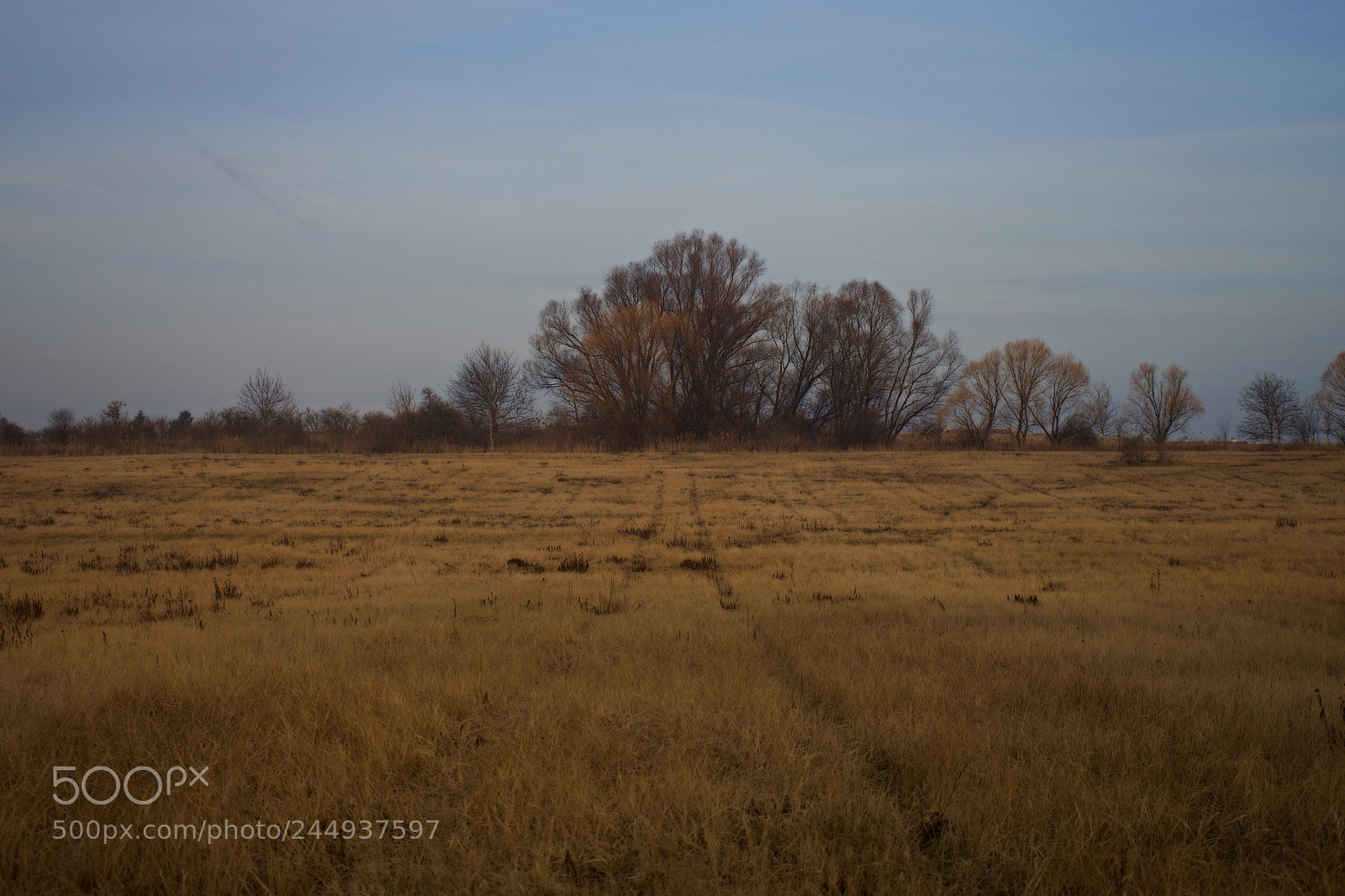 Sony a7 sample photo. Meadow photography