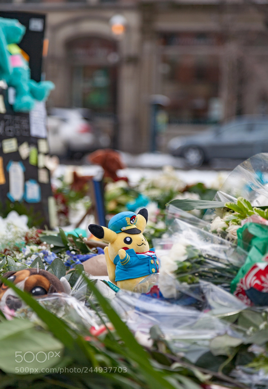 Canon EOS 5D sample photo. Pokemon in mourning photography