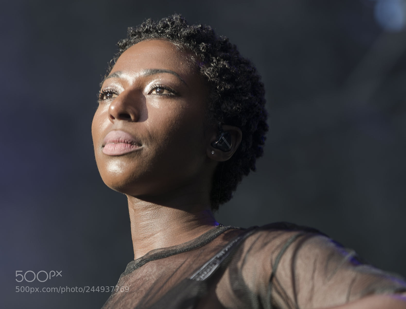 Canon EOS-1D X Mark II sample photo. Bonobo photography