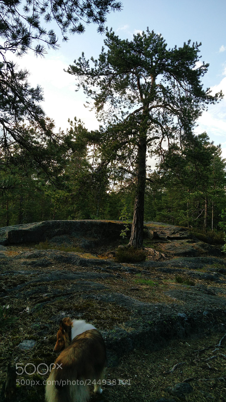 OnePlus 2 sample photo. Untitled photography