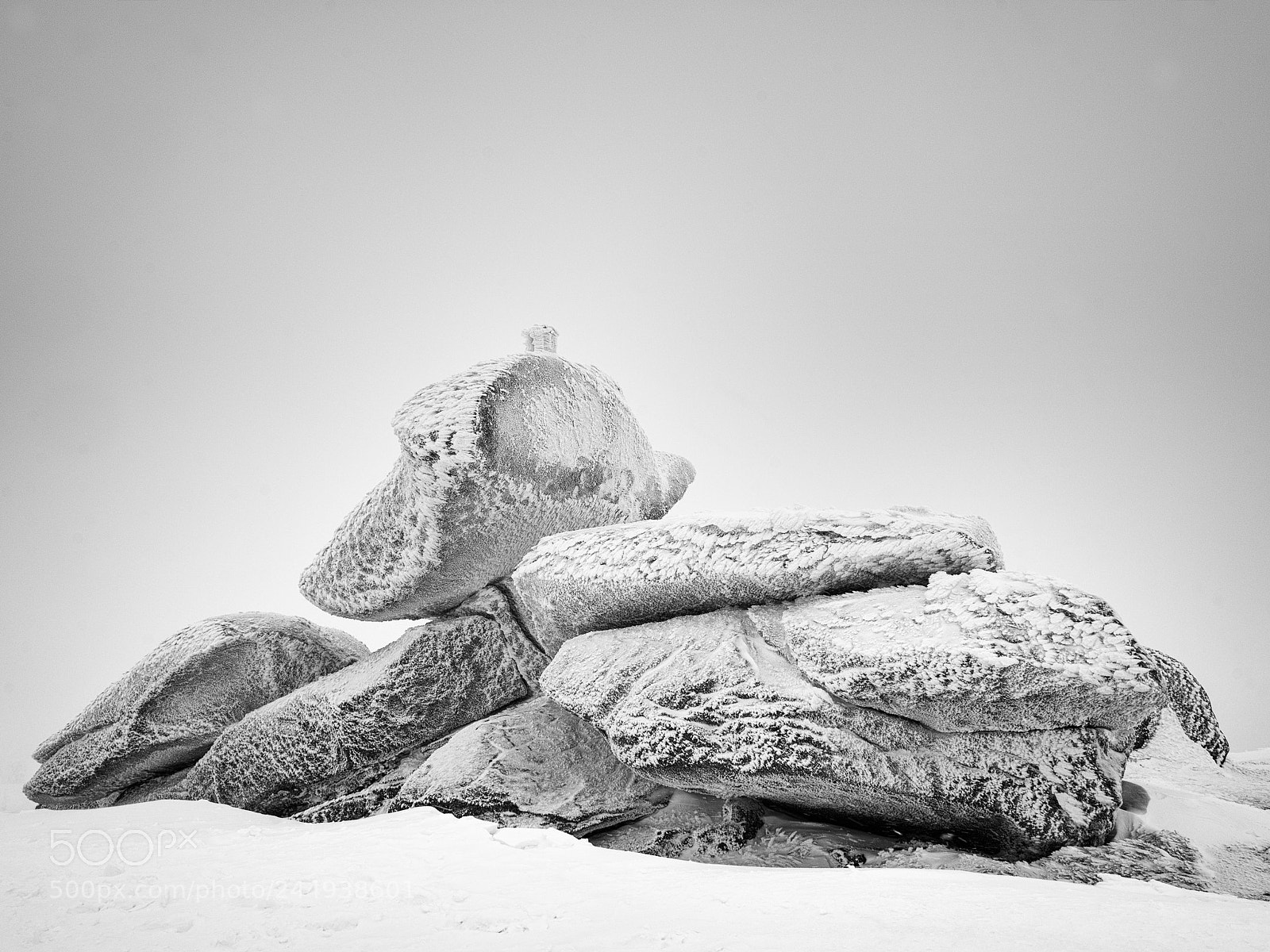 Nikon D610 sample photo. Skalny jamnik photography