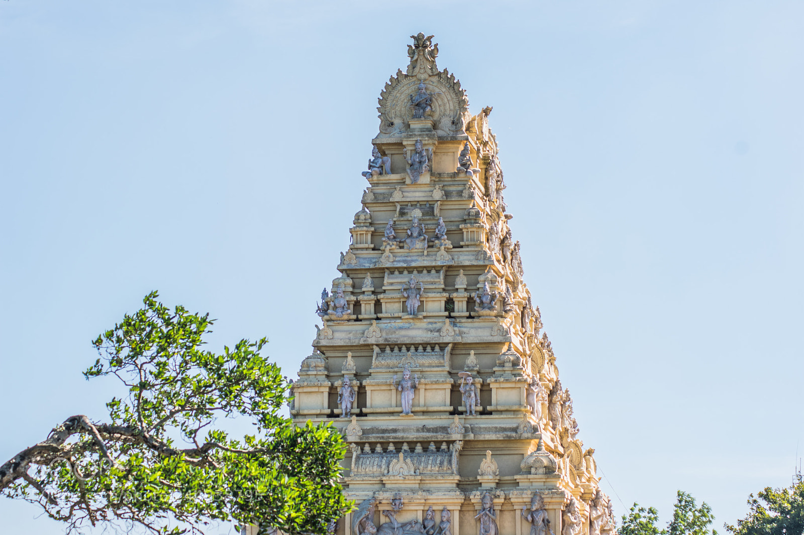 Nikon D3400 sample photo. Sri biligiri ranganathaswamy temple photography