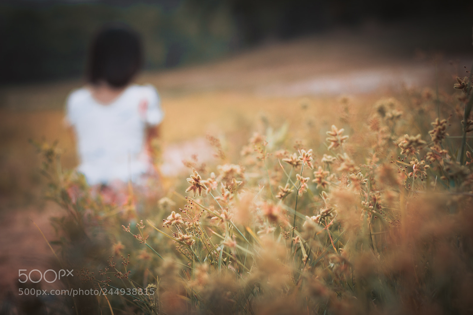 Canon EOS 60D sample photo. The day she went photography