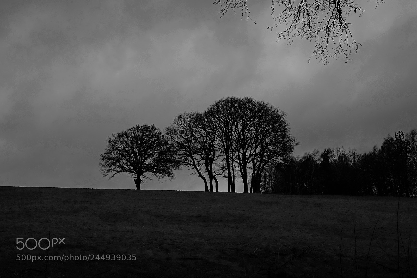 Fujifilm X-E1 sample photo. Sart lez spa photography