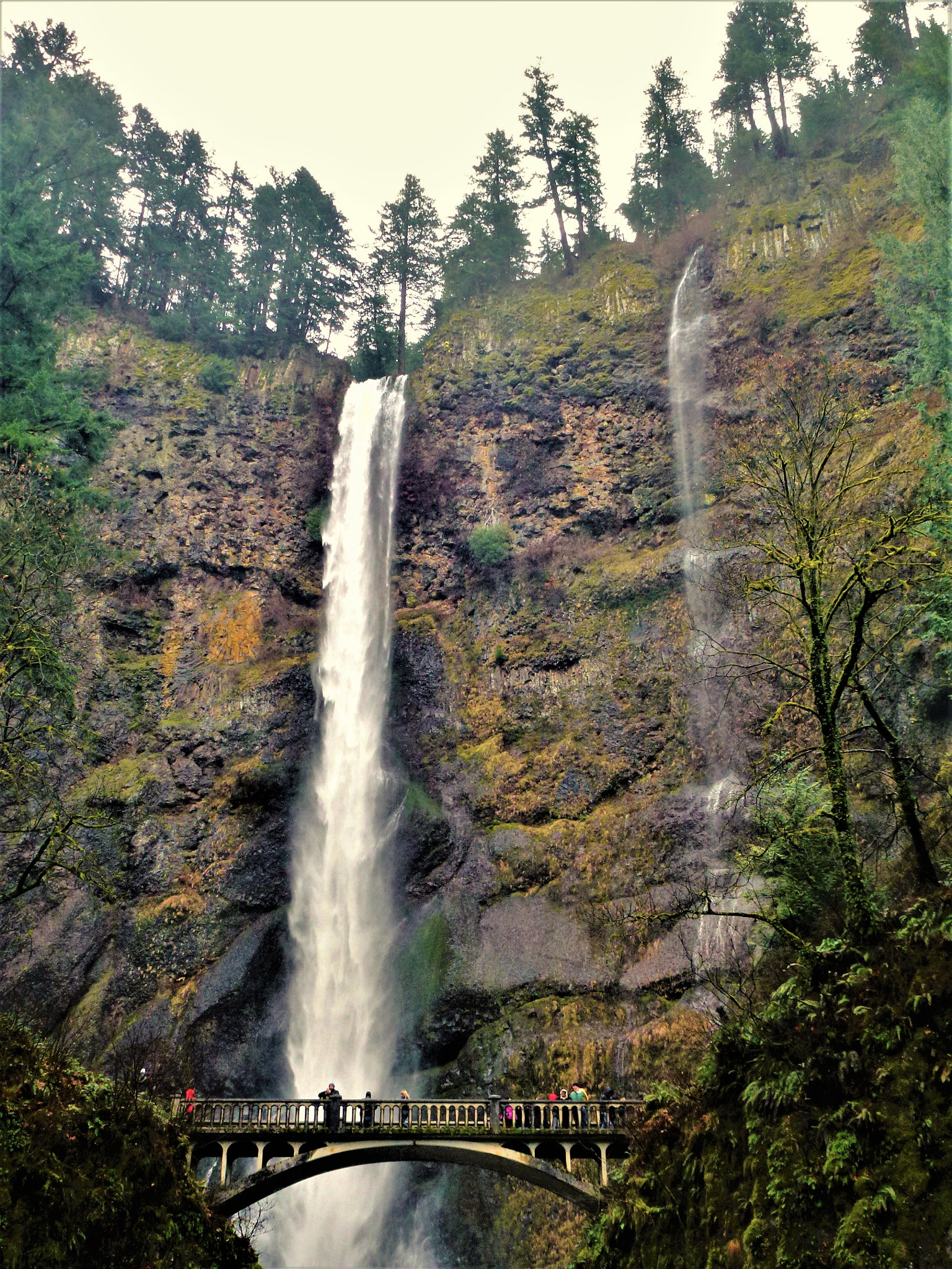 Panasonic DMC-ZS10 sample photo. Multnomah falls photography