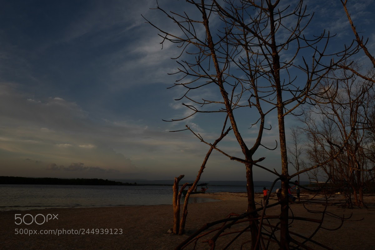 Leica Q (Typ 116) sample photo. Koh kong ... island photography