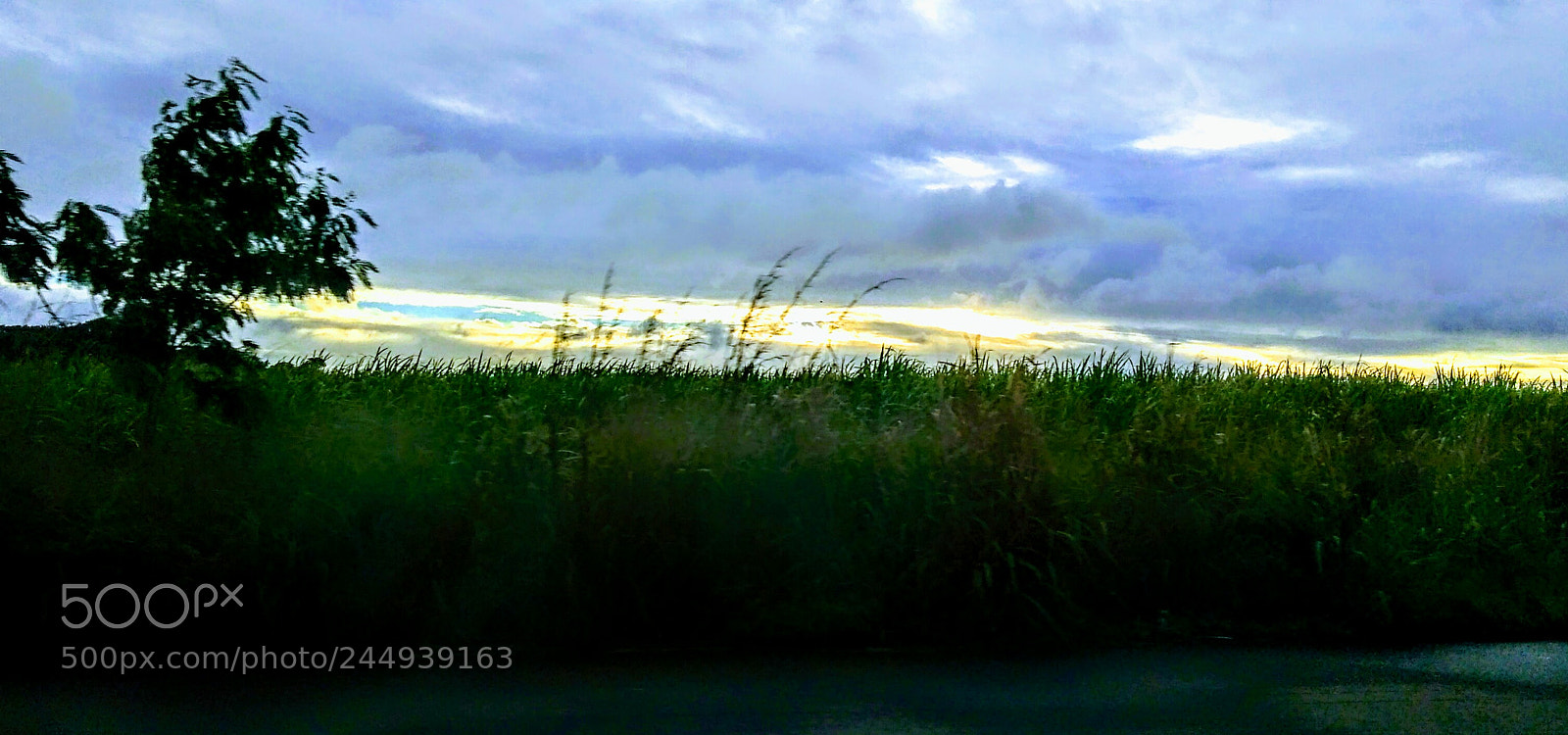 Motorola Moto G Play sample photo. Untitled photography