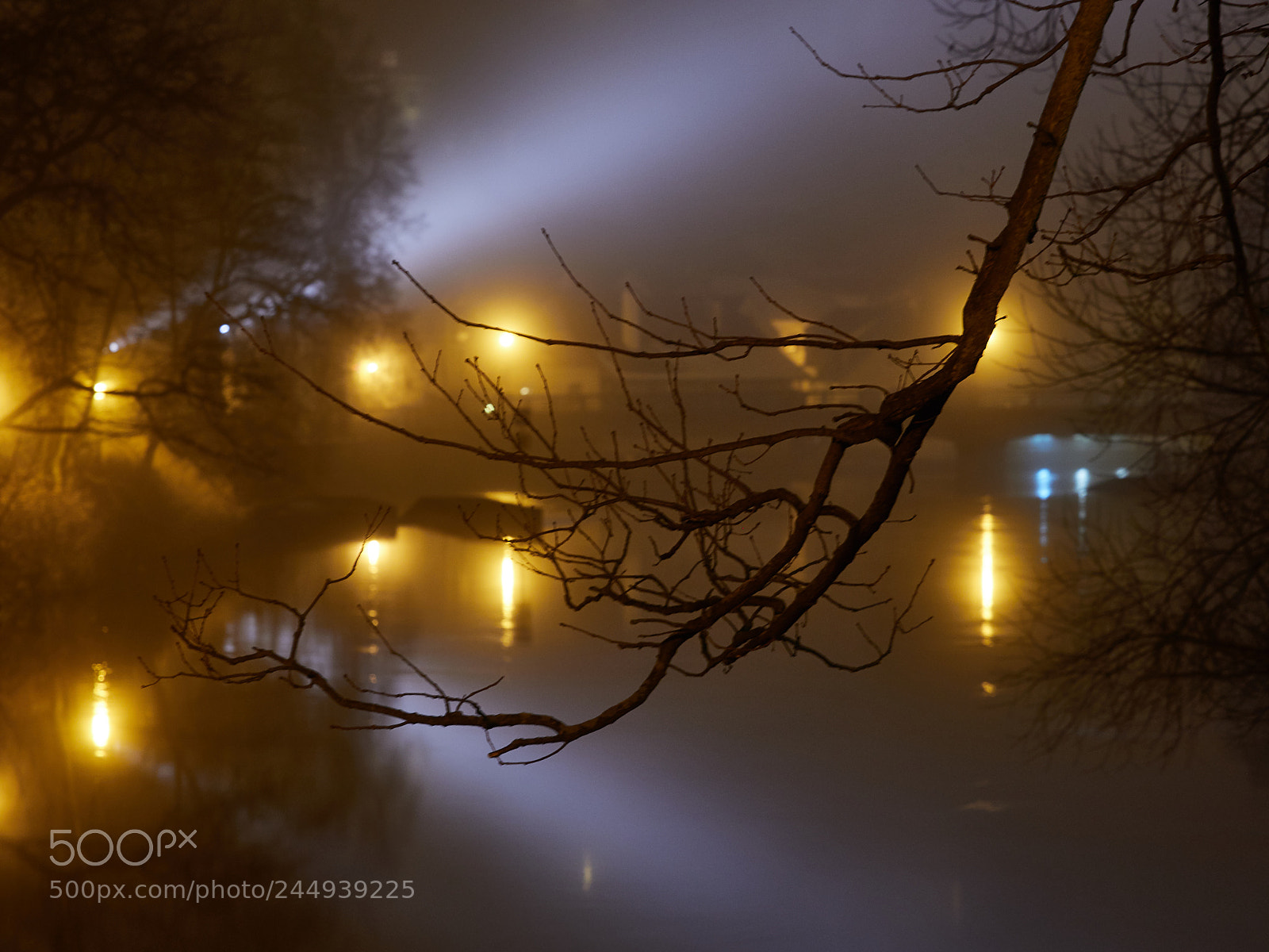 Olympus OM-D E-M1 Mark II sample photo. Mystical evening in cesky photography