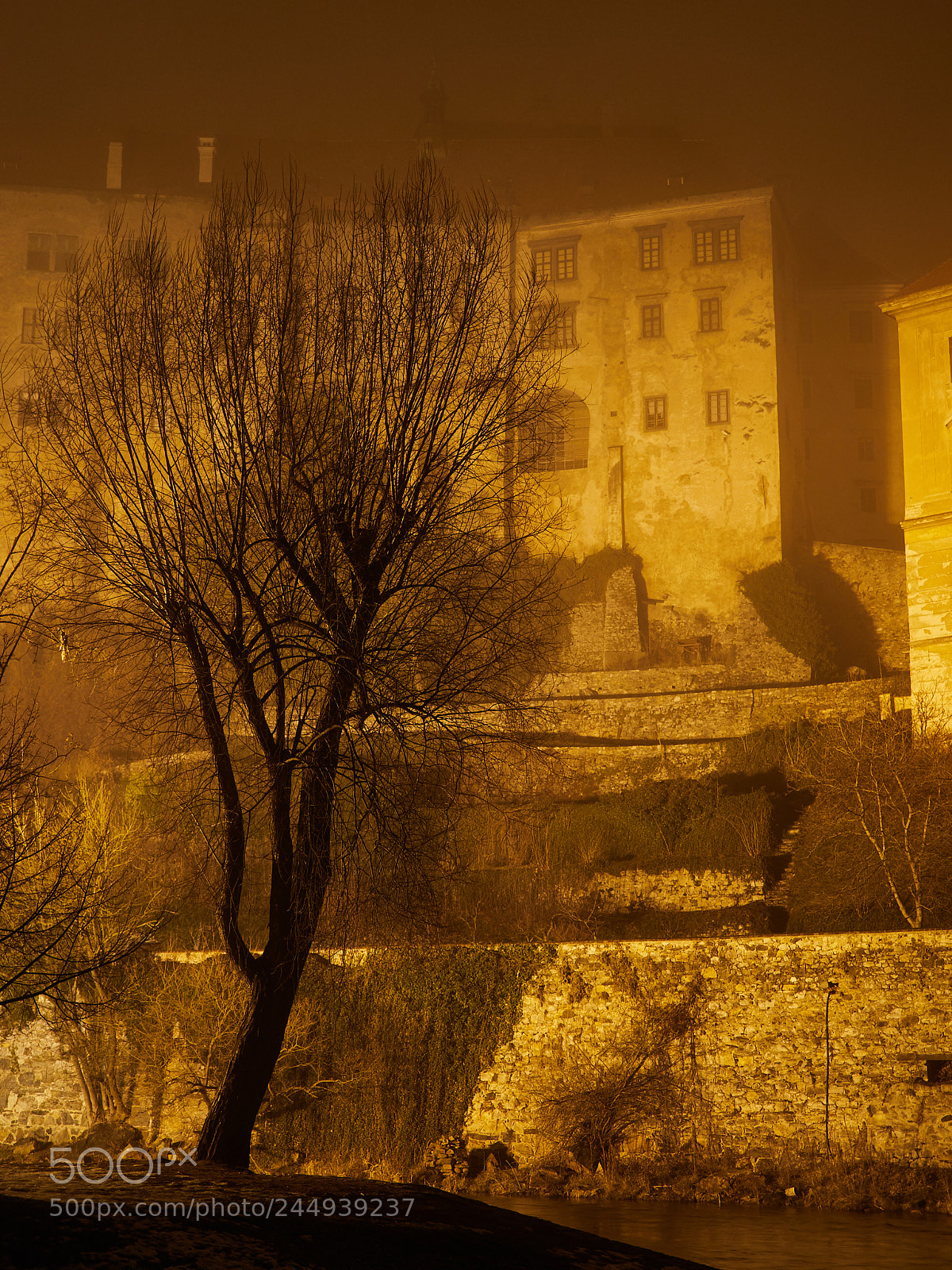 Olympus OM-D E-M1 Mark II sample photo. Mystical evening in cesky photography