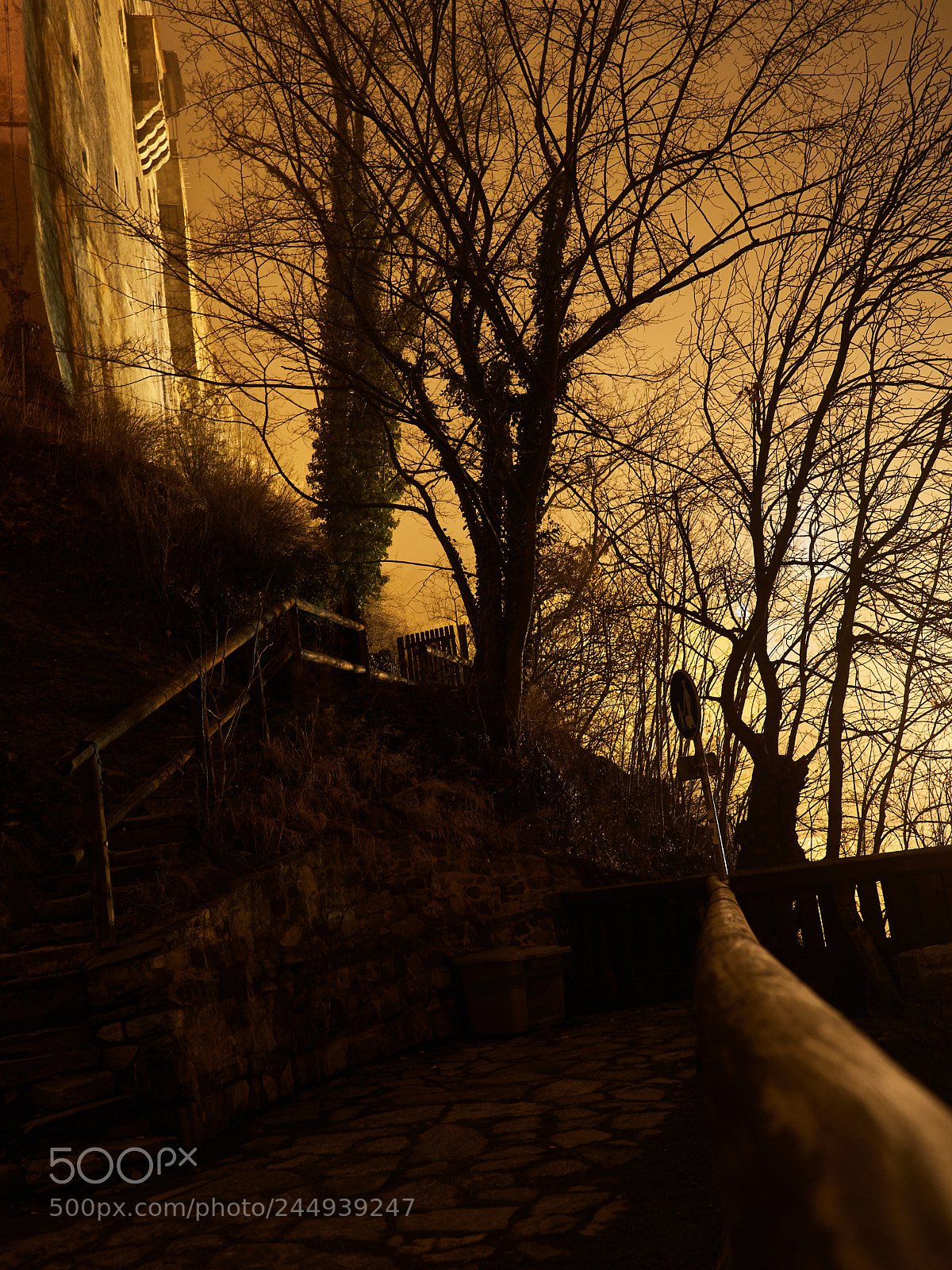Olympus OM-D E-M1 Mark II sample photo. Mystical evening in cesky photography