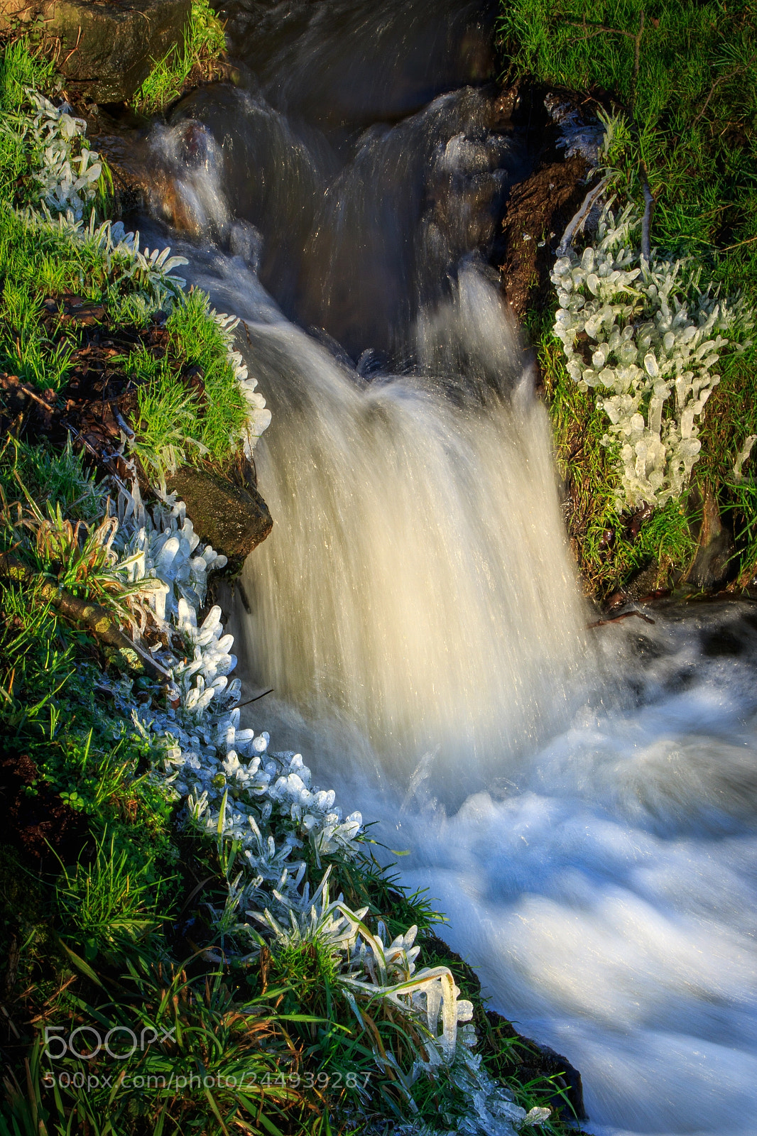Canon EOS 7D Mark II sample photo. Almesbach photography