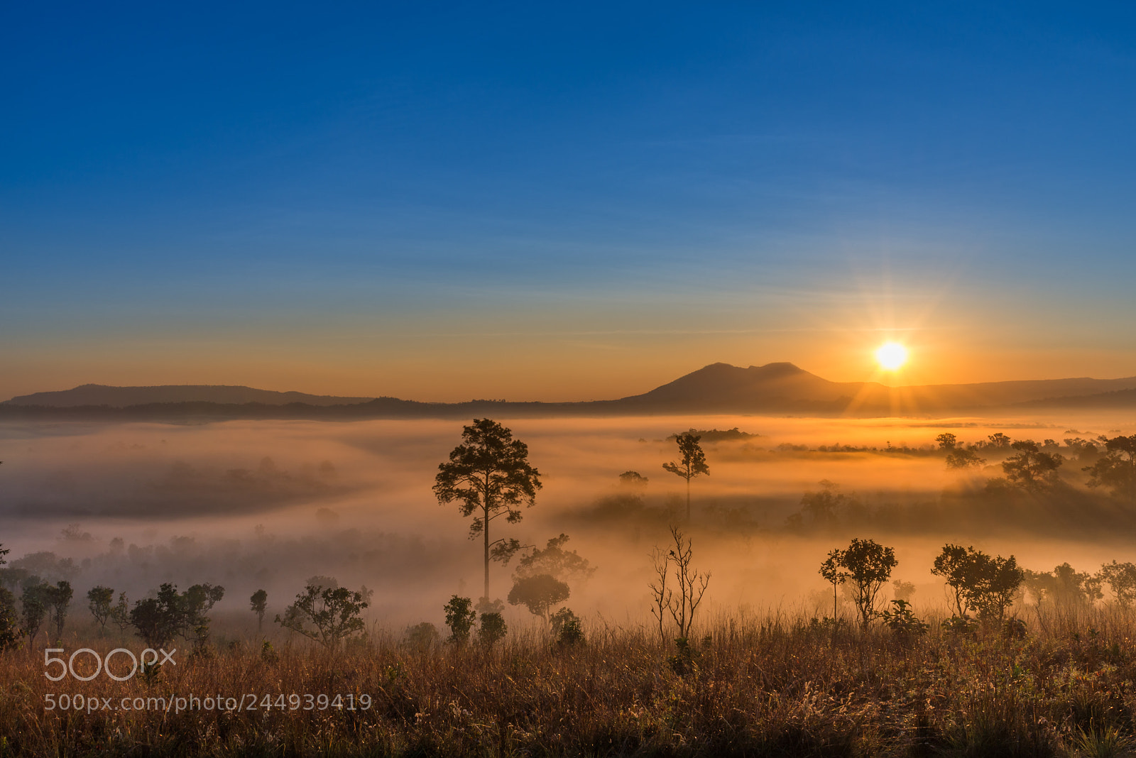 Nikon D610 sample photo. Sunrise at thung salaeng photography